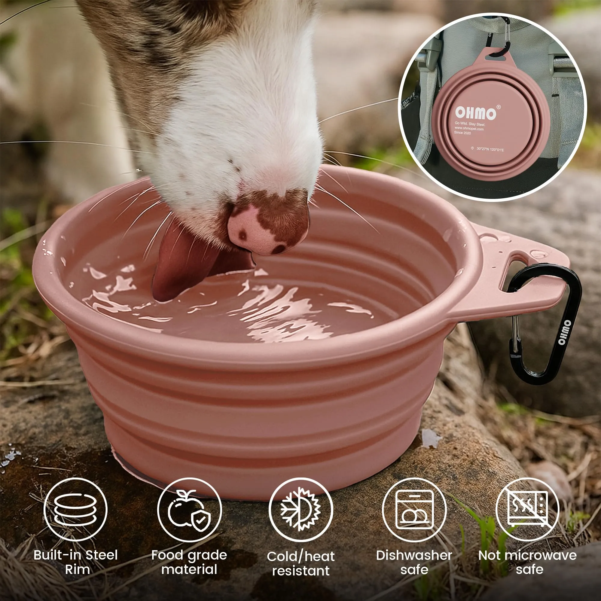 OHMO Ciotole Cane Portatili Pieghevoli in Silicone e Acciaio Inox, 800ml, 2 pz, Corallo e Verde Chiaro - immagine 5