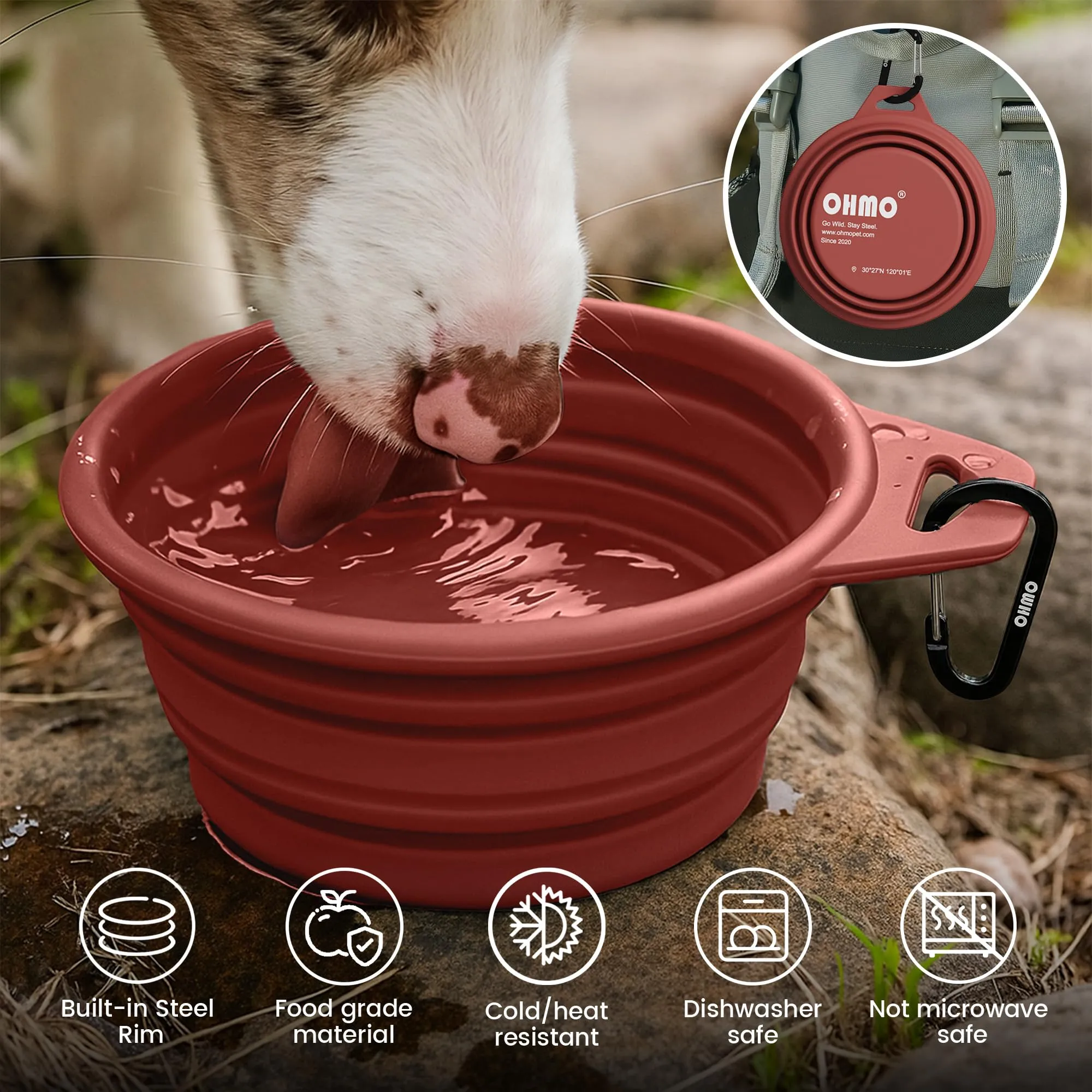 OHMO Ciotole per Cane Portatili in Silicone e Acciaio Inox, 800ml, 2 pezzi, Erythrinus+Corallo - immagine 5
