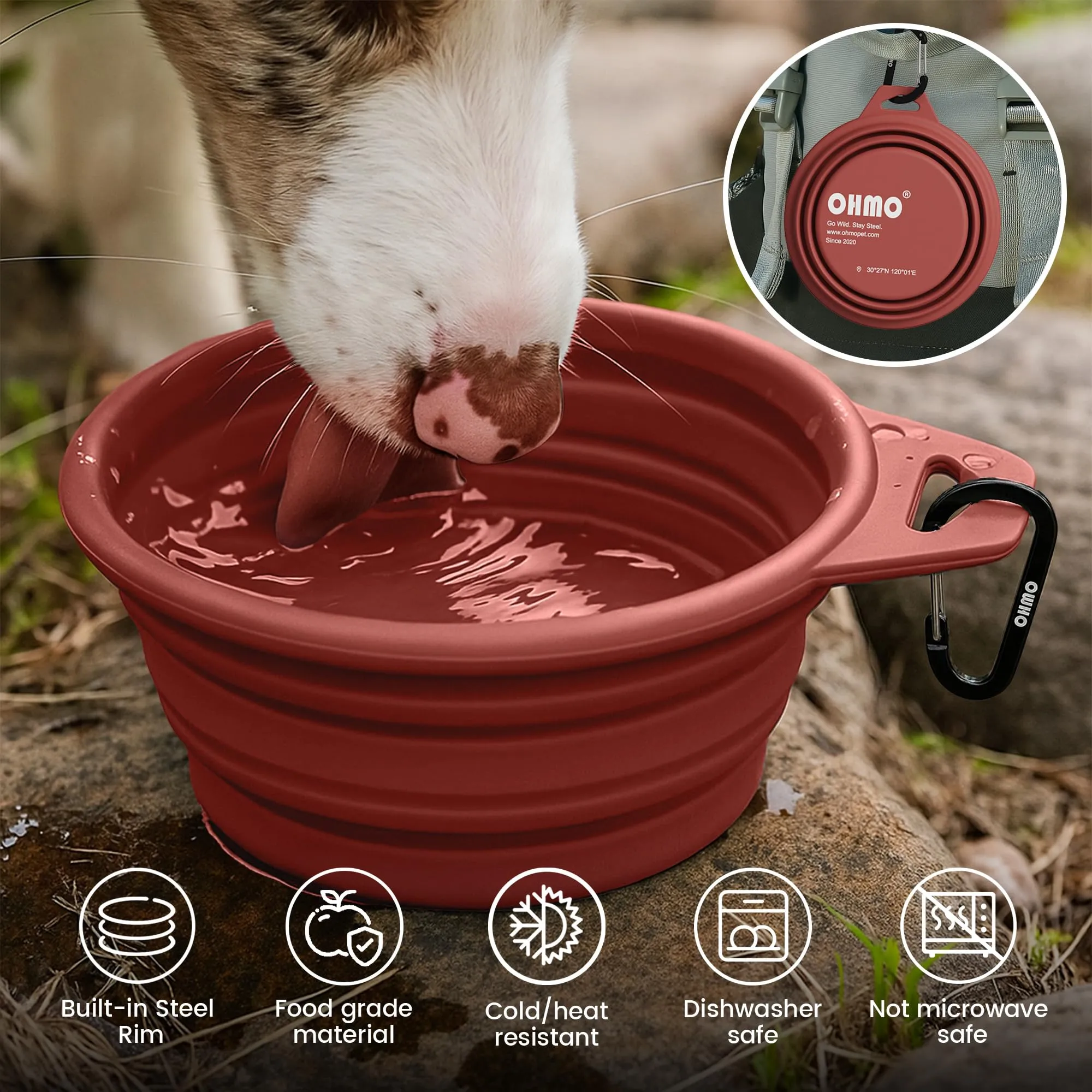 OHMO Ciotole Cane Portatili Pieghevoli in Silicone e Acciaio Inox, 400ml, 2 pz, Erythrinus+Corallo - immagine 6