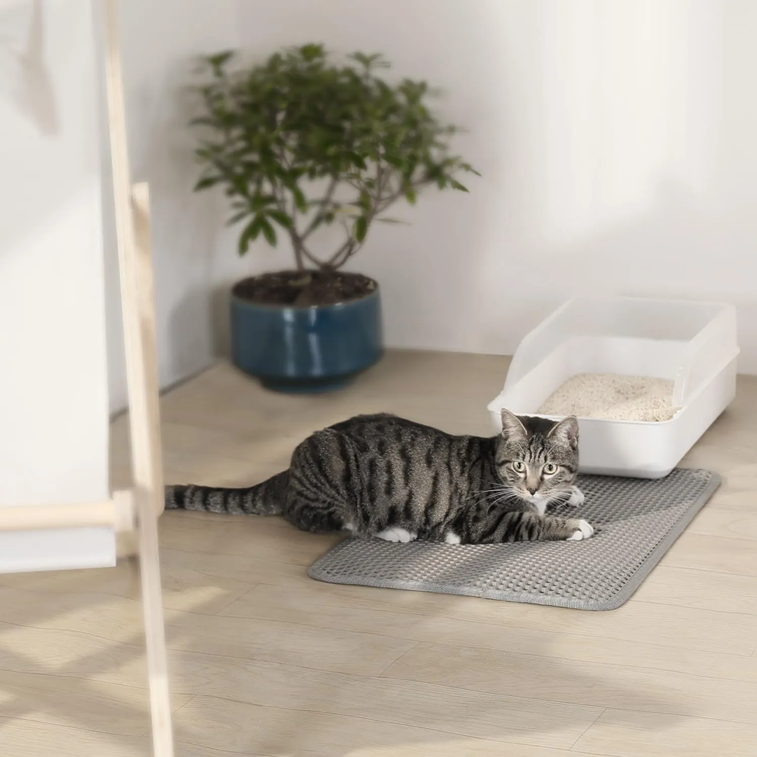 Conlun Tappetino Lettiera Gatto 58x40cm Doppio Strato Impermeabile Antiscivolo, Grigio, 2 Pezzi - immagine 8