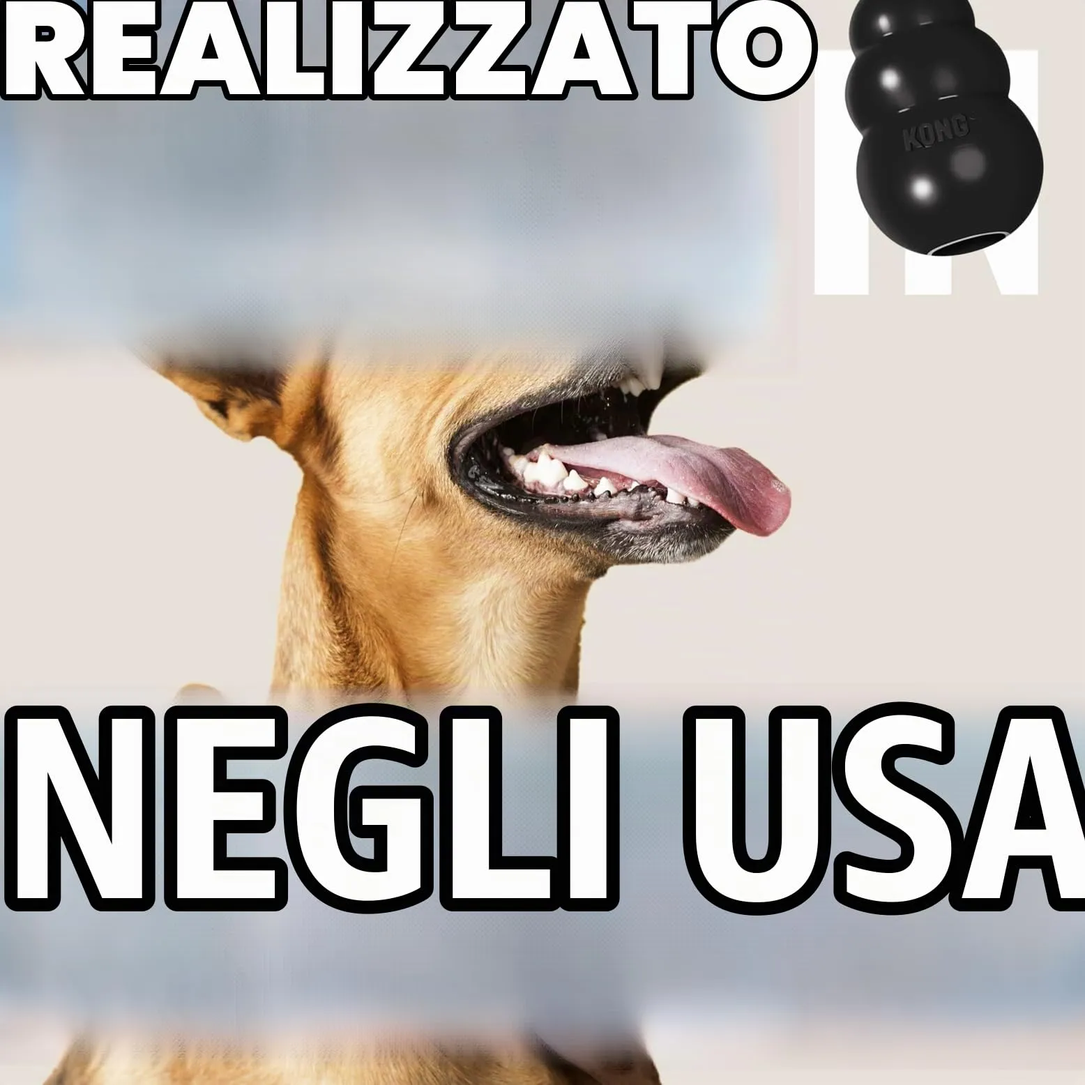KONG Extreme Giocattolo da Masticare Riempibile per Cani, Taglia XXL - immagine 7