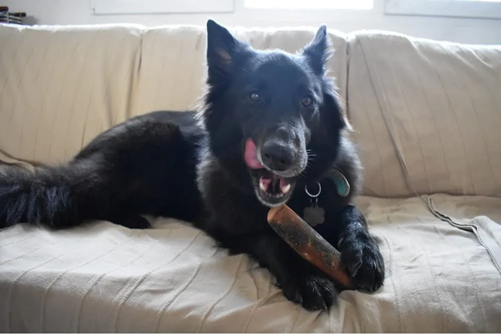 ARTISAN GIFT CO Osso di legno d'oliva naturale per cani, 15 cm - immagine 8