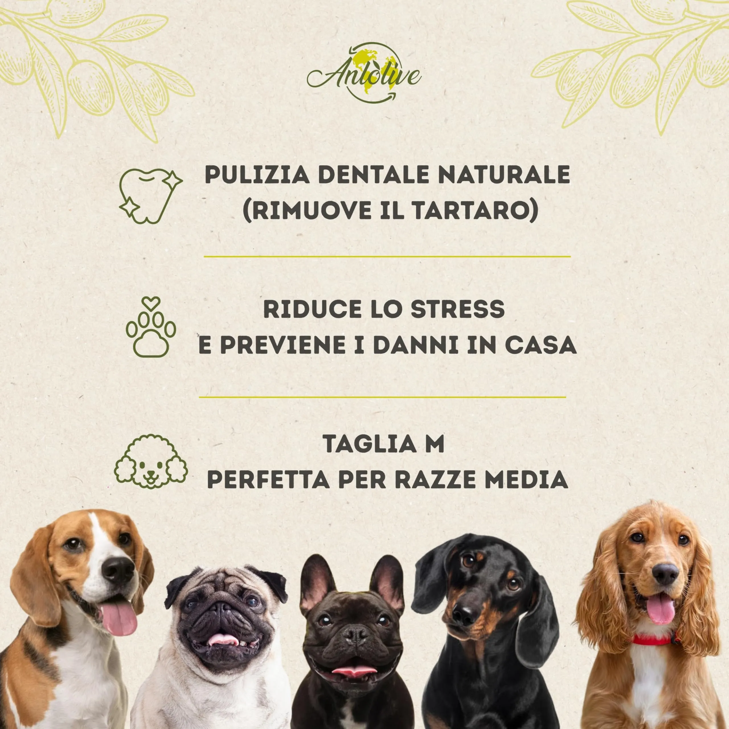 Anlolive Bastoncini di legno di ulivo 17 cm per cani medi e grandi - immagine 4