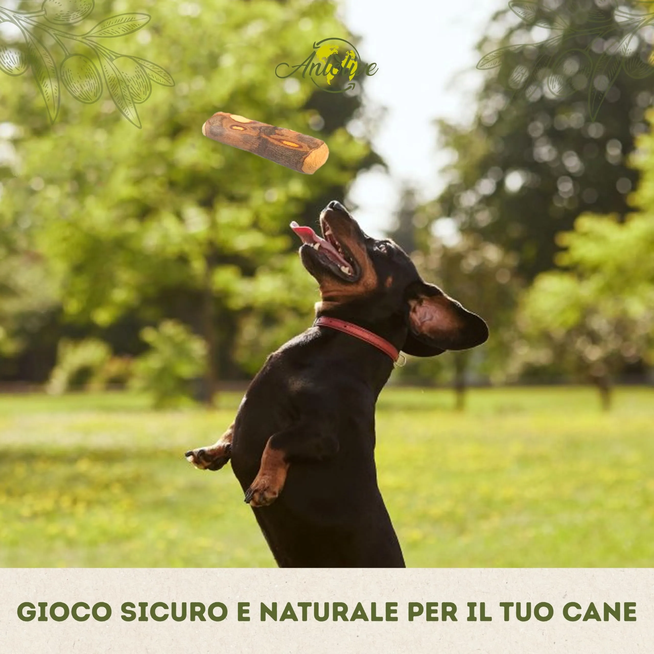 Anlolive Bastoncini di legno di ulivo 17 cm per cani medi e grandi - immagine 6