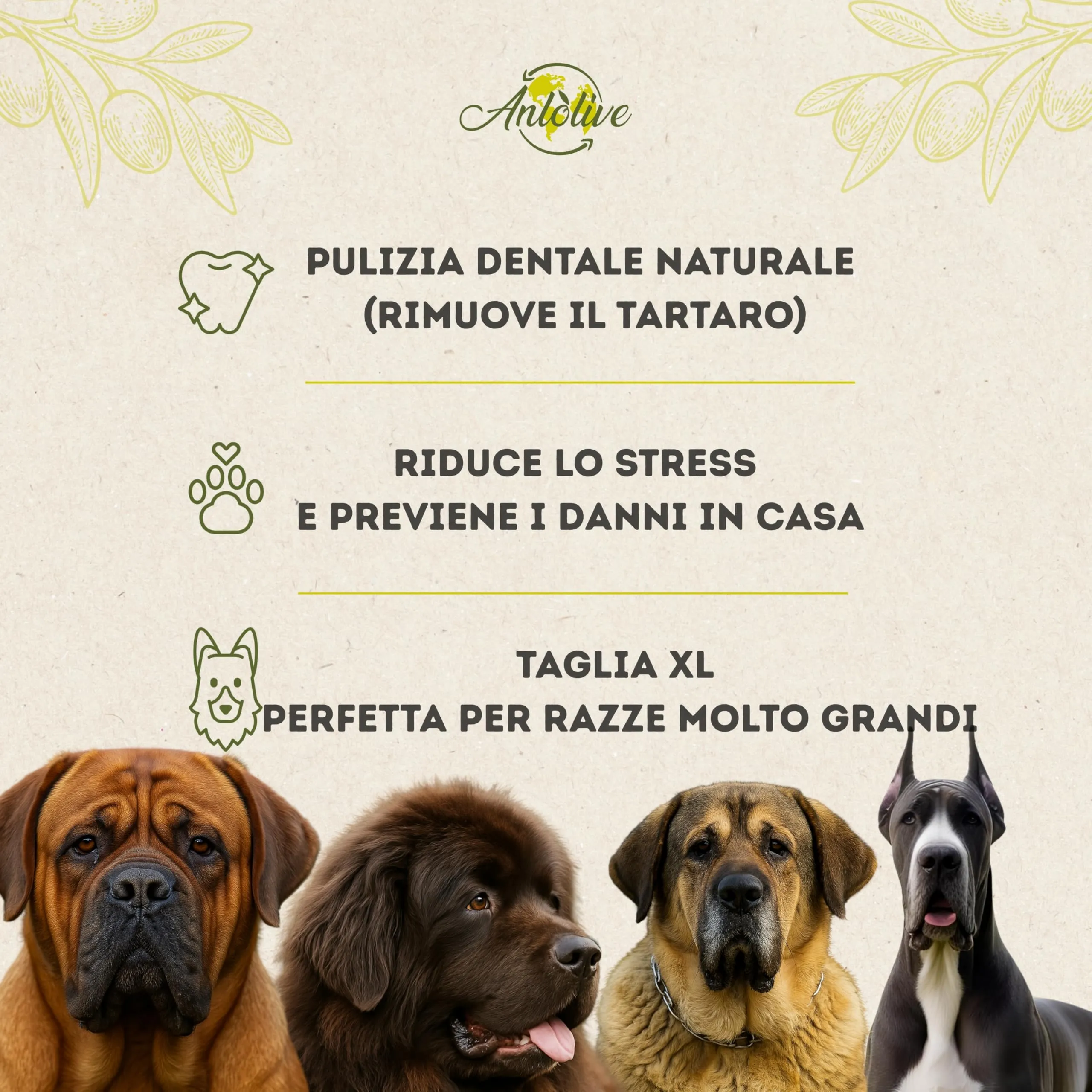 Anlolive Gioco da Masticare Naturale in Legno d’Ulivo per Cani Grandi e Giganti, Taglia XXL 37 cm - immagine 4