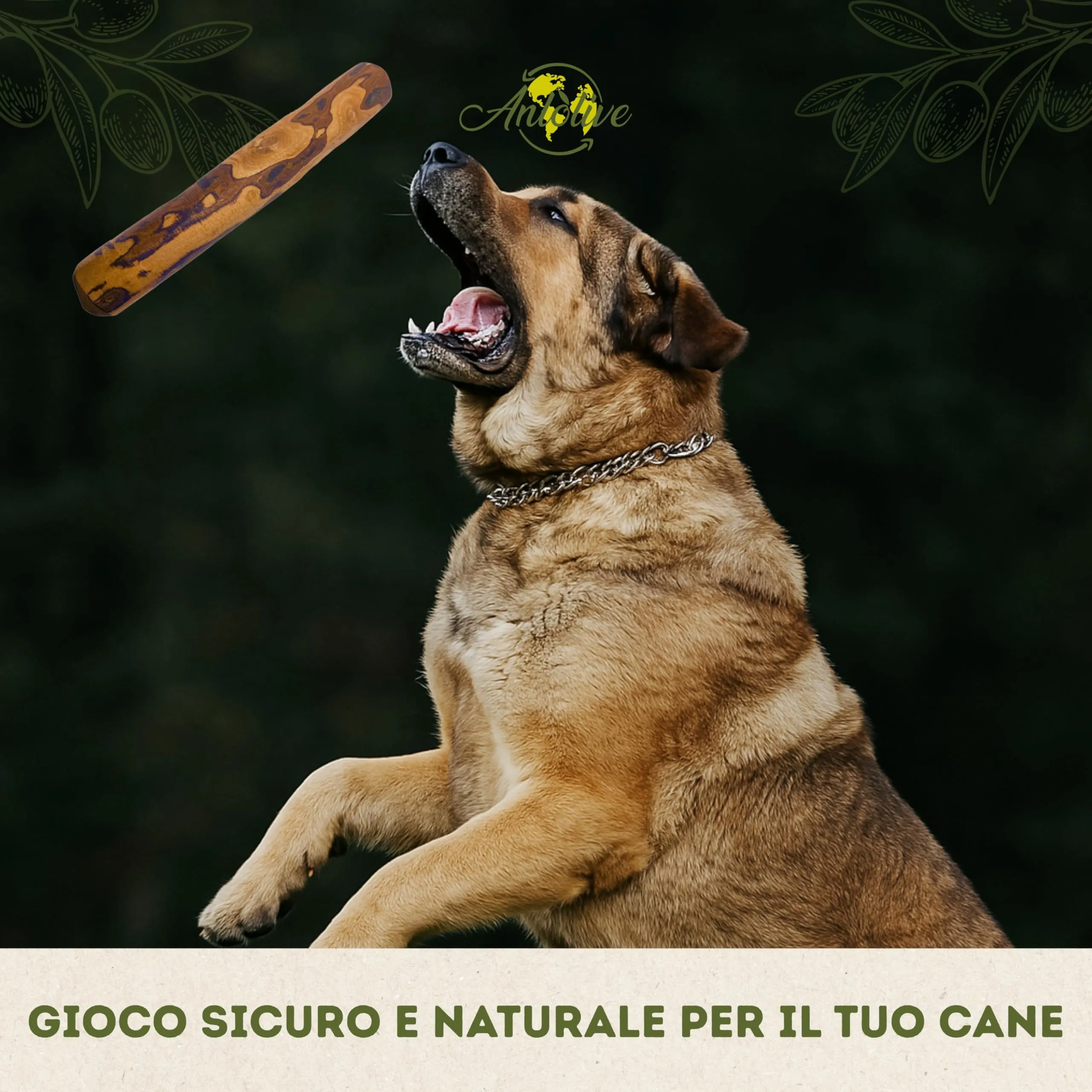 Anlolive Gioco da Masticare Naturale in Legno d’Ulivo per Cani Grandi e Giganti, Taglia XXL 37 cm - immagine 6