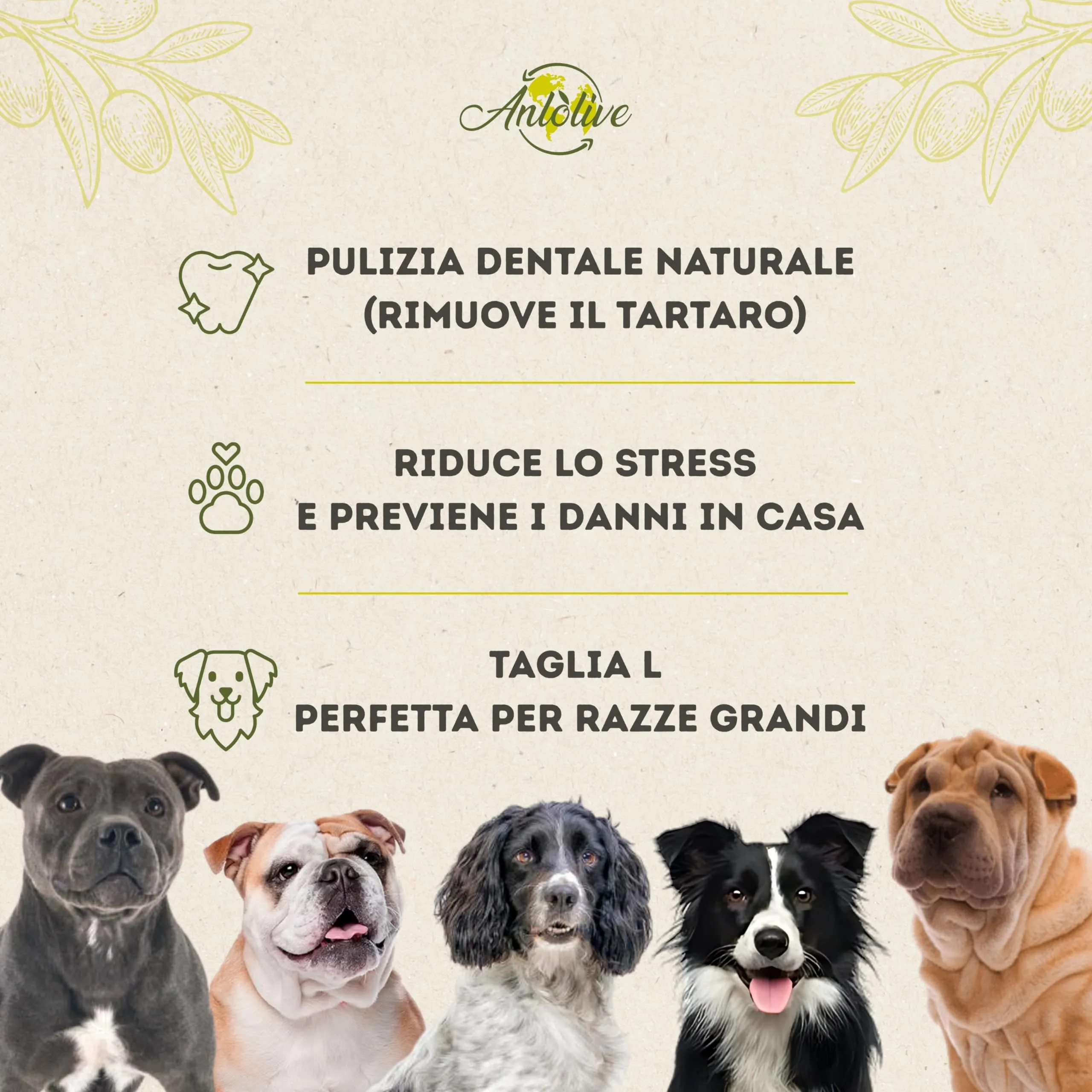 Anlolive Giochi da Masticare Naturali in Legno d’Ulivo, Set da 2, Taglia L 20-23 cm per Cani Medi e Grandi - immagine 4