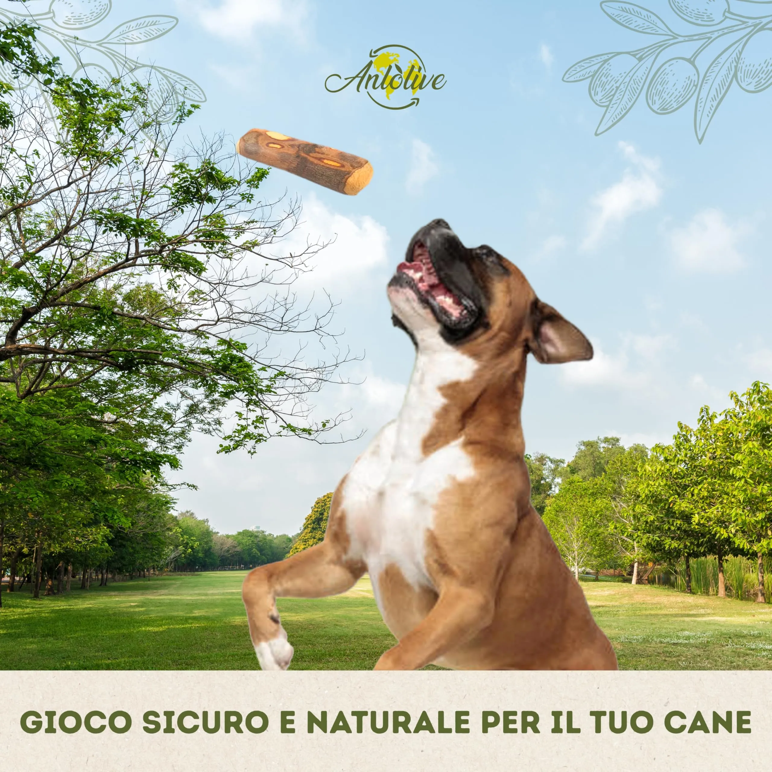 Anlolive Giochi da Masticare Naturali in Legno d’Ulivo, Set da 2, Taglia L 20-23 cm per Cani Medi e Grandi - immagine 6