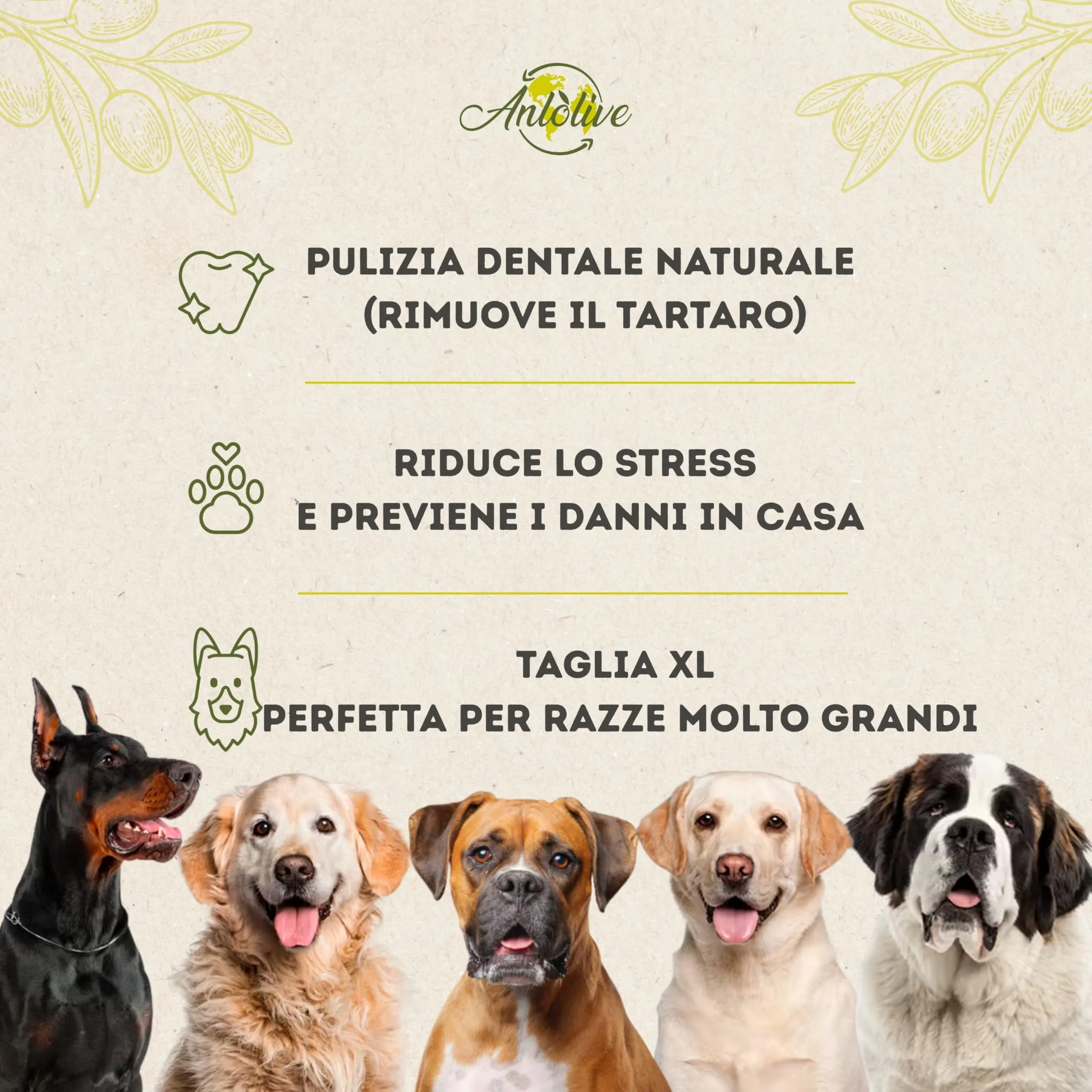 Anlolive Gioco da Masticare Naturale in Legno d'Ulivo per Cani di Taglia Grande, Taglia XL 27-30 cm - immagine 4