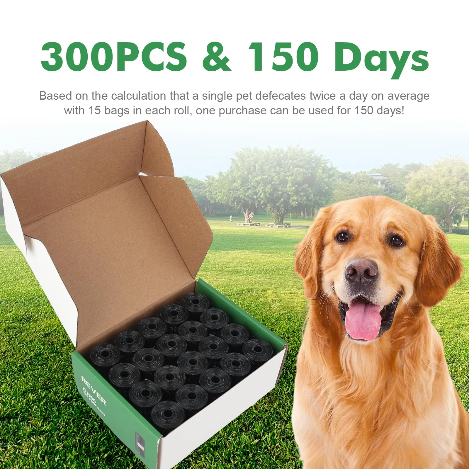 REVER GH50 Sacchetti per Cane, 300 Pezzi, 33x23 cm, Inodore, Nero - immagine 6