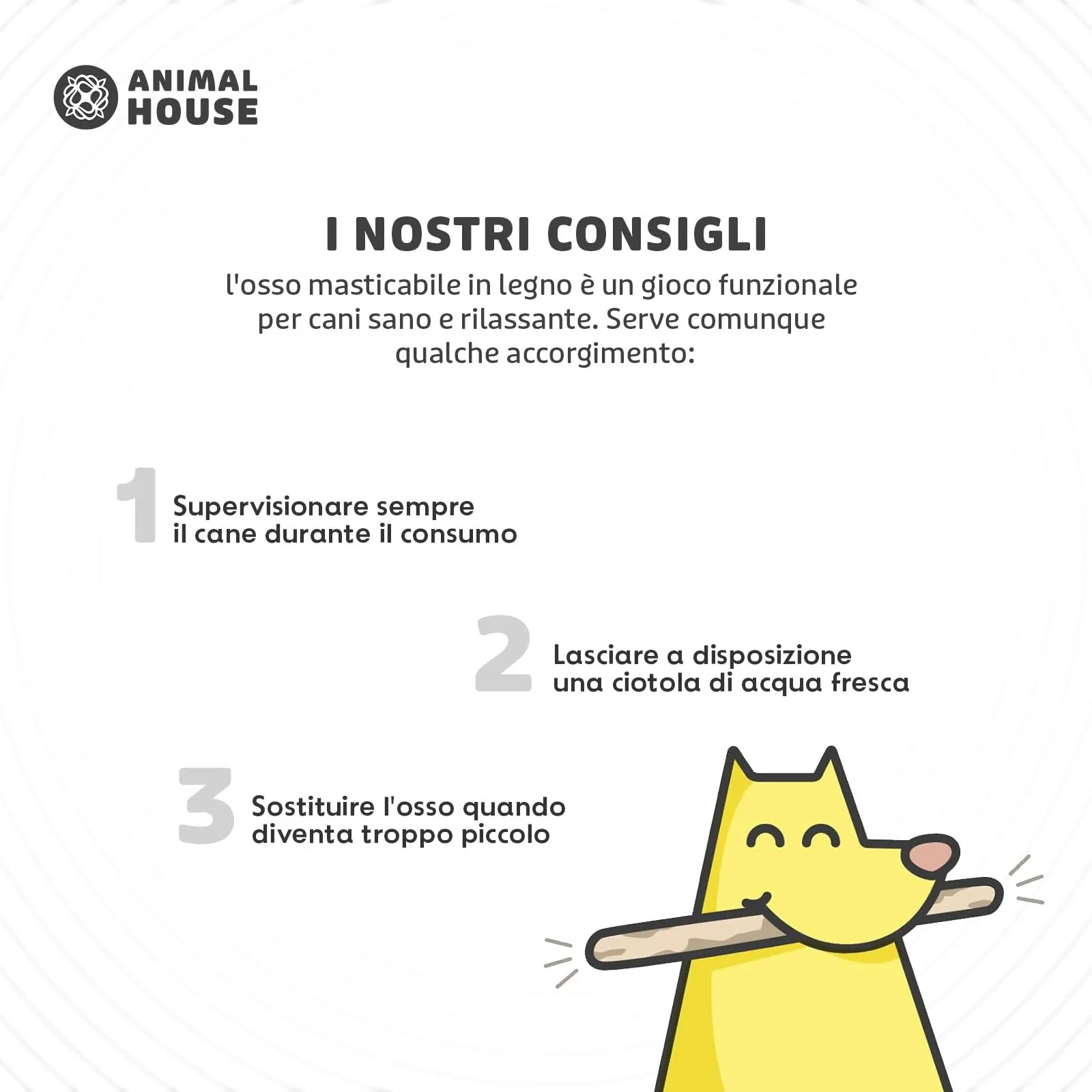 Animal House Set di 3 Legni d’Ulivo per Cani, 12-15 cm, S - immagine 6
