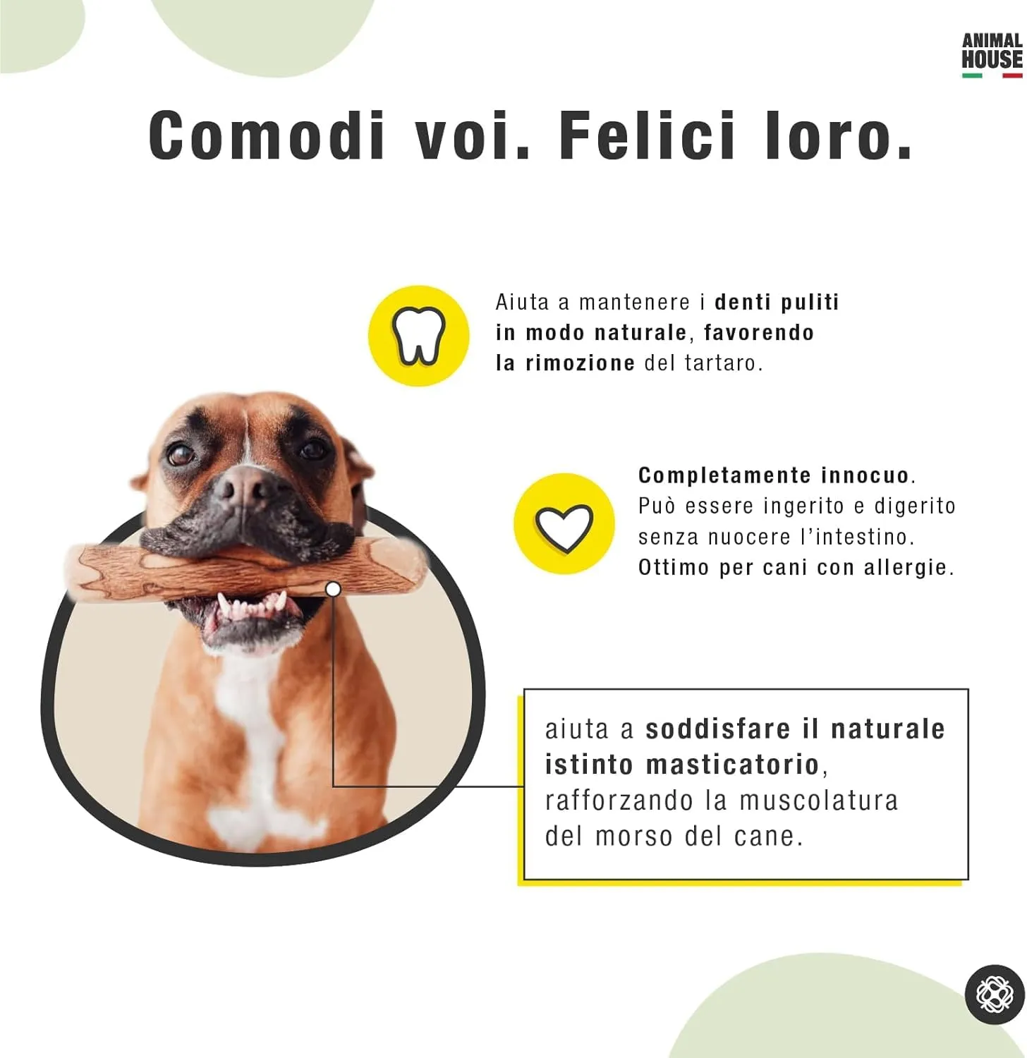 Animal House Set di 2 Legni d’Ulivo per Cani, 15-20 cm, M - immagine 4