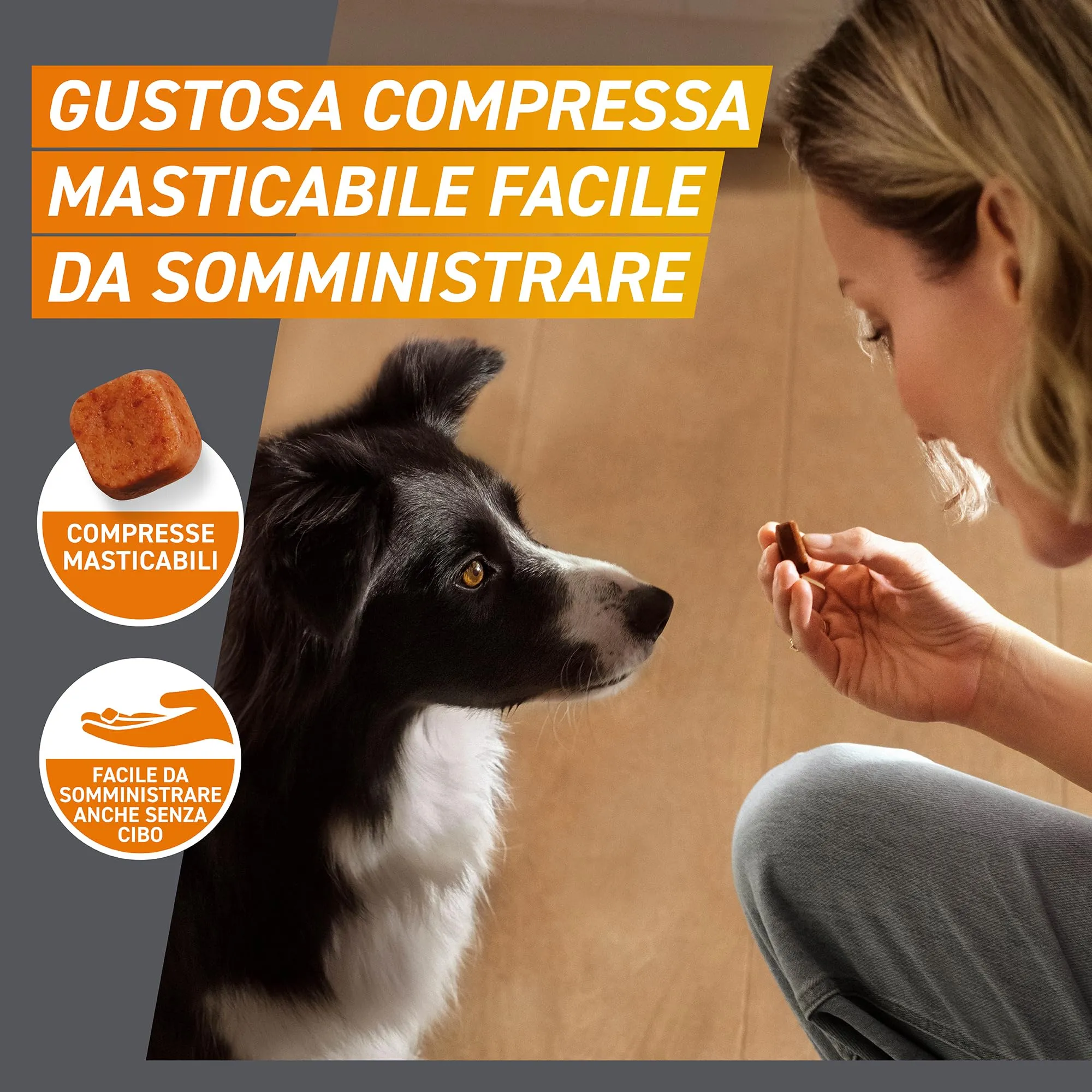 FRONTPRO Compresse Masticabili per Cani contro Pulci e Zecche, 2-4kg, 6 pezzi - immagine 3