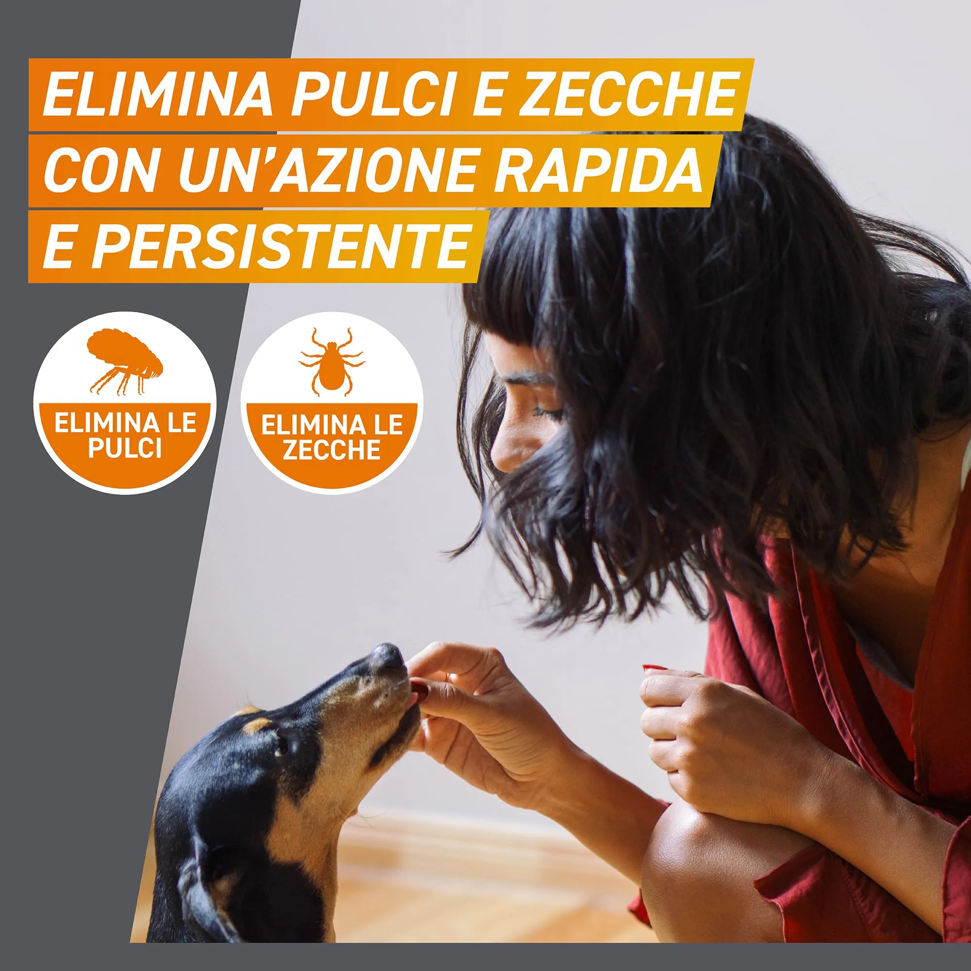 FRONTPRO Compresse Masticabili per Cani contro Pulci e Zecche, 2-4kg, 6 pezzi - immagine 4