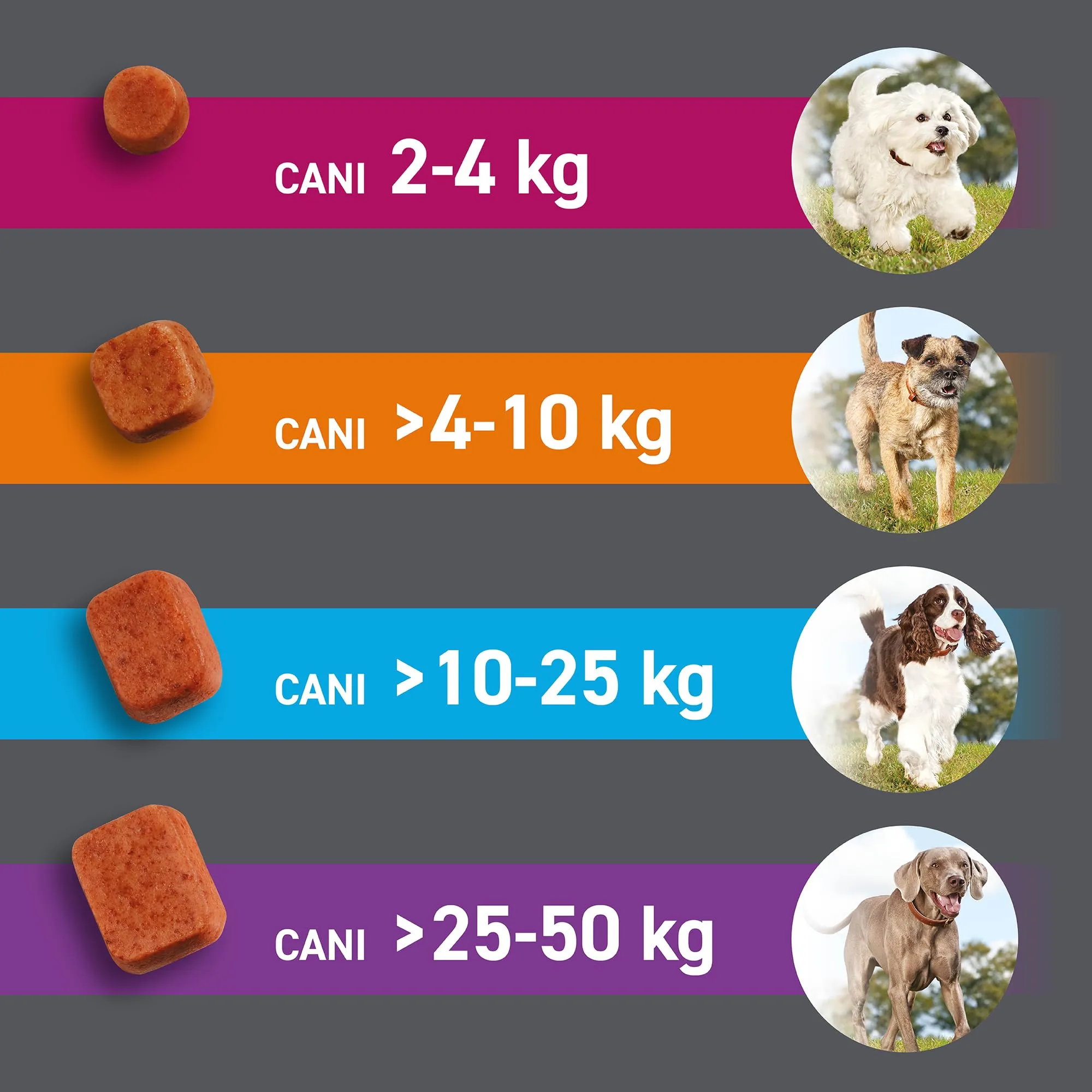 FRONTPRO Compresse Masticabili per Cani contro Pulci e Zecche, 2-4kg, 6 pezzi - immagine 6