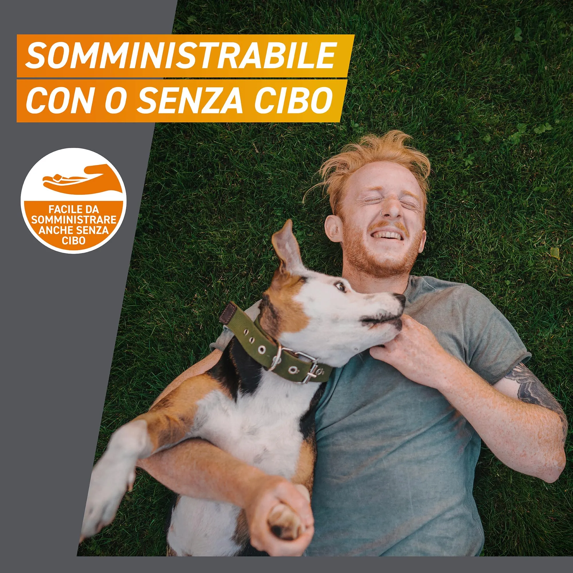 Frontpro Compresse Masticabili per Cani contro Pulci e Zecche (25-50kg), 6 compresse - immagine 5