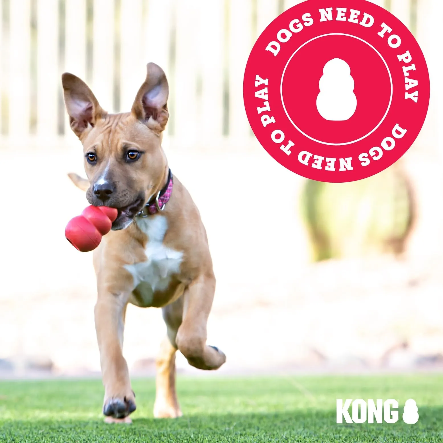 KONG Extreme Giocattolo da Masticare Riempibile per Cani, Large - immagine 8