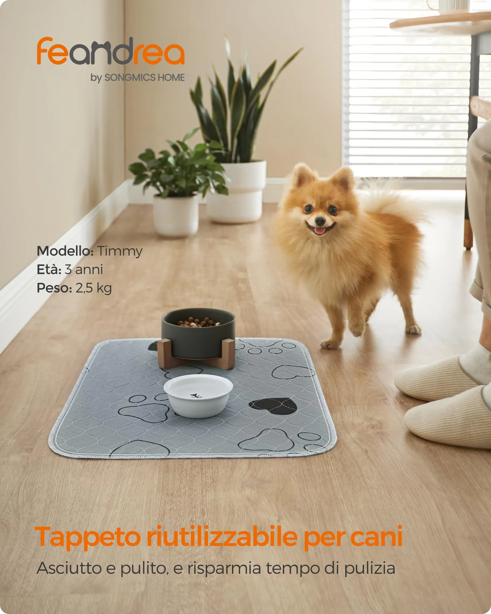 Feandrea Tappetini Lavabili per Cani, 2 Pezzi, 61 x 46 cm, Antiscivolo - immagine 2