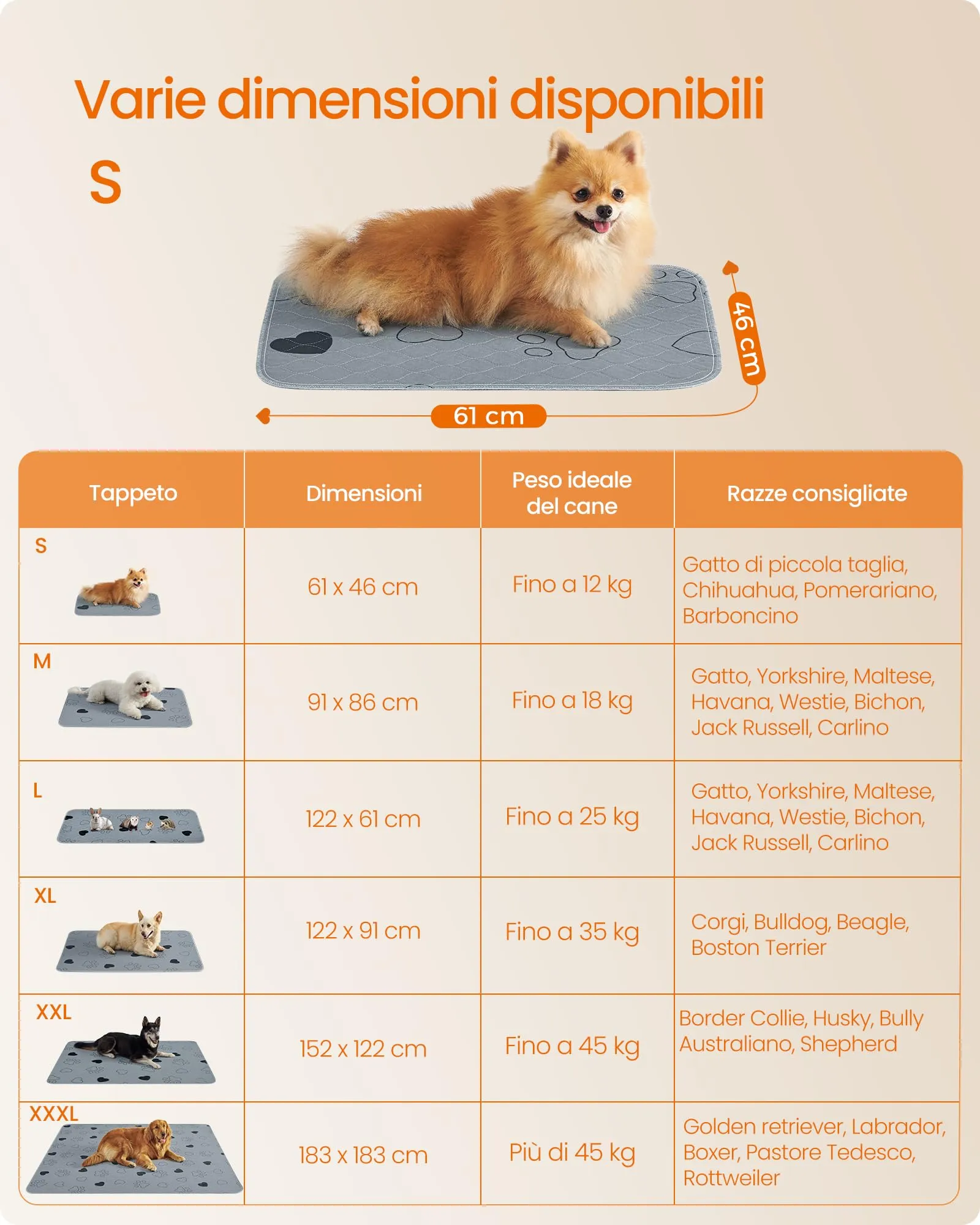 Feandrea Tappetini Lavabili per Cani, 2 Pezzi, 61 x 46 cm, Antiscivolo - immagine 5
