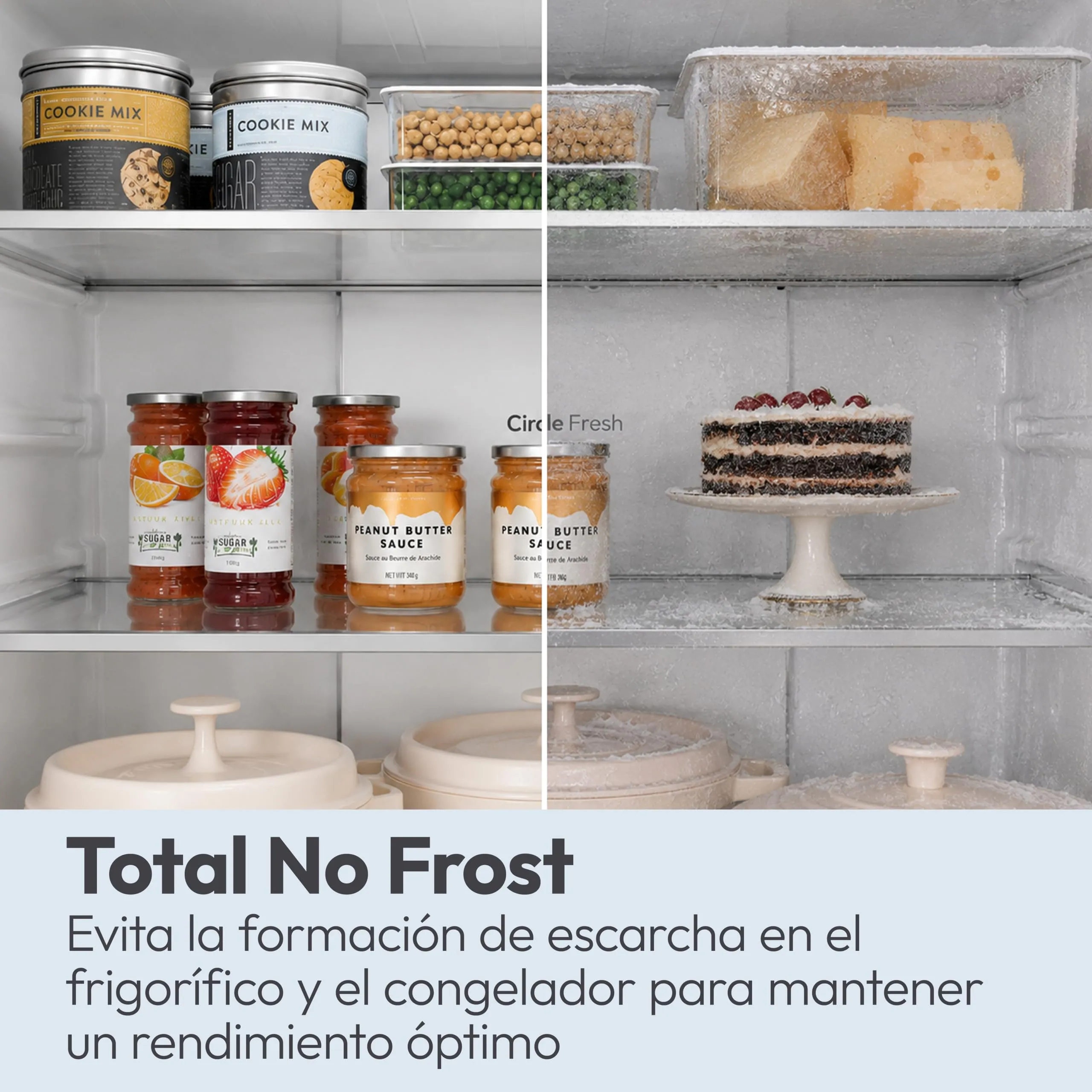 Candy CNCQ2T518EG City Fresco 300 Frigorifero Combinato Total No Frost Circle+, Verde - immagine 4