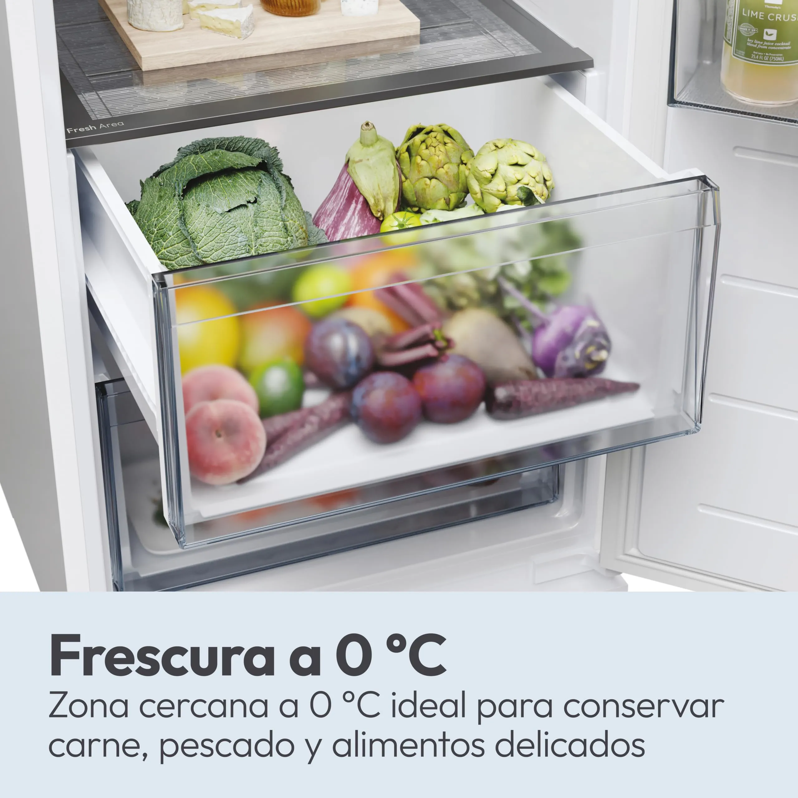 Candy CNCQ2T518EG City Fresco 300 Frigorifero Combinato Total No Frost Circle+, Verde - immagine 8