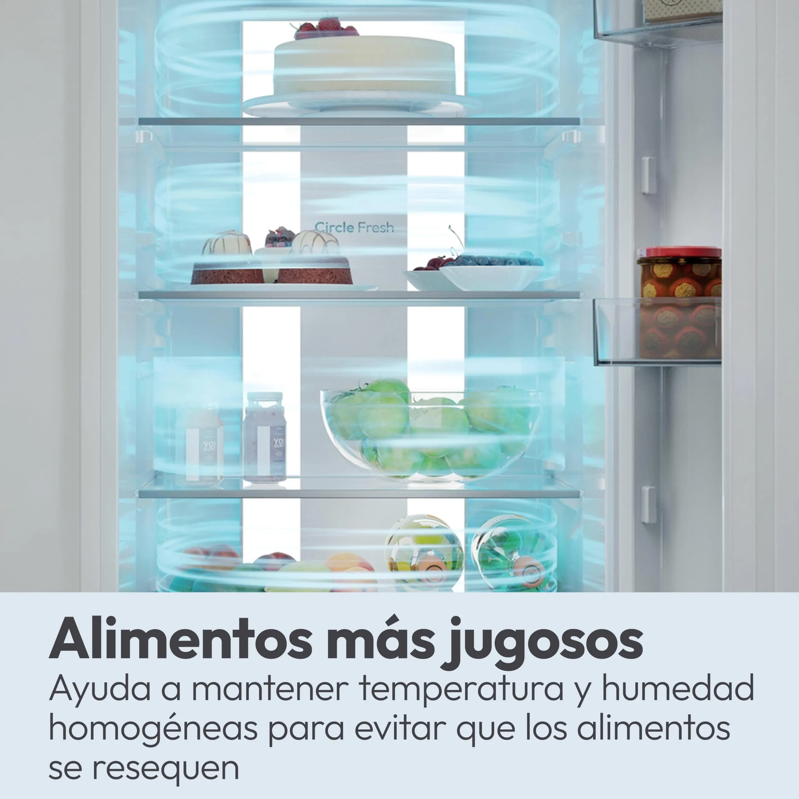 Candy CNCQ2T518EG City Fresco 300 Frigorifero Combinato Total No Frost Circle+, Verde - immagine 9