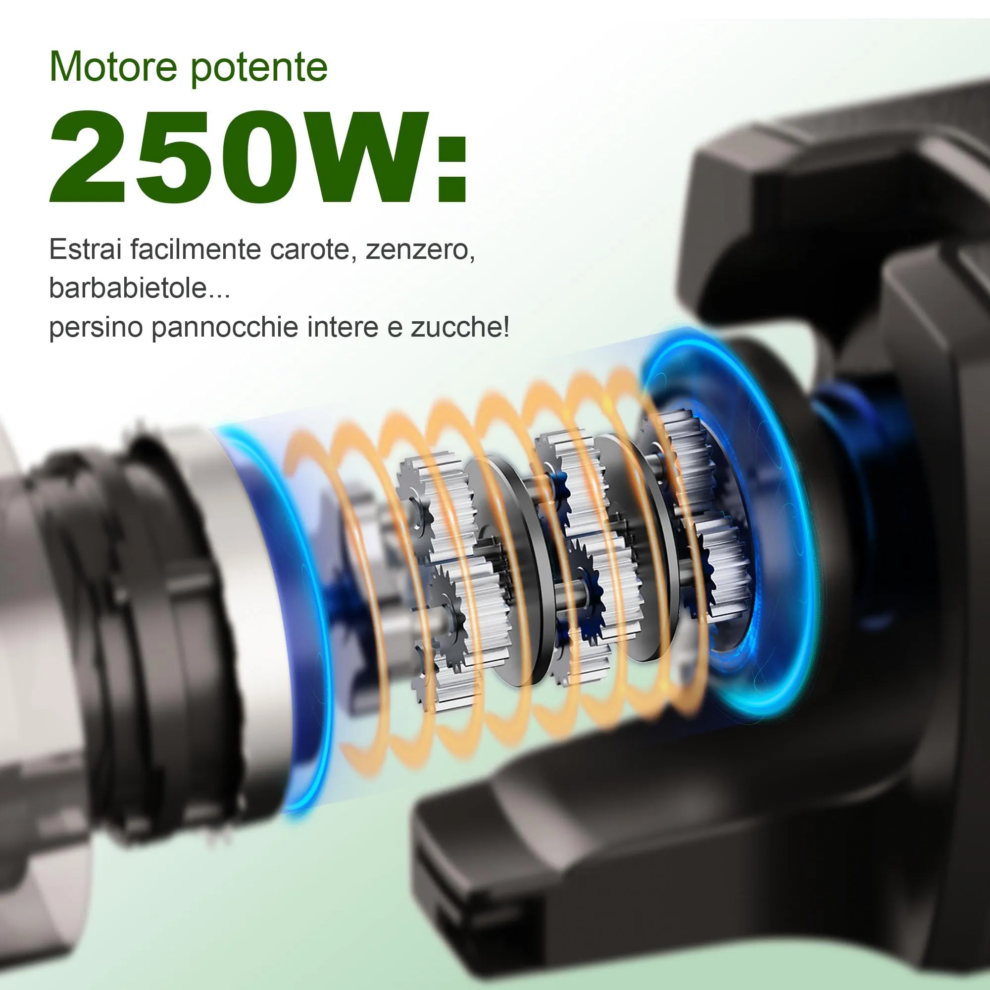 Fretta F6000 Estrattore di succo a masticazione lenta, 250 W, bocca da 135 mm - immagine 4