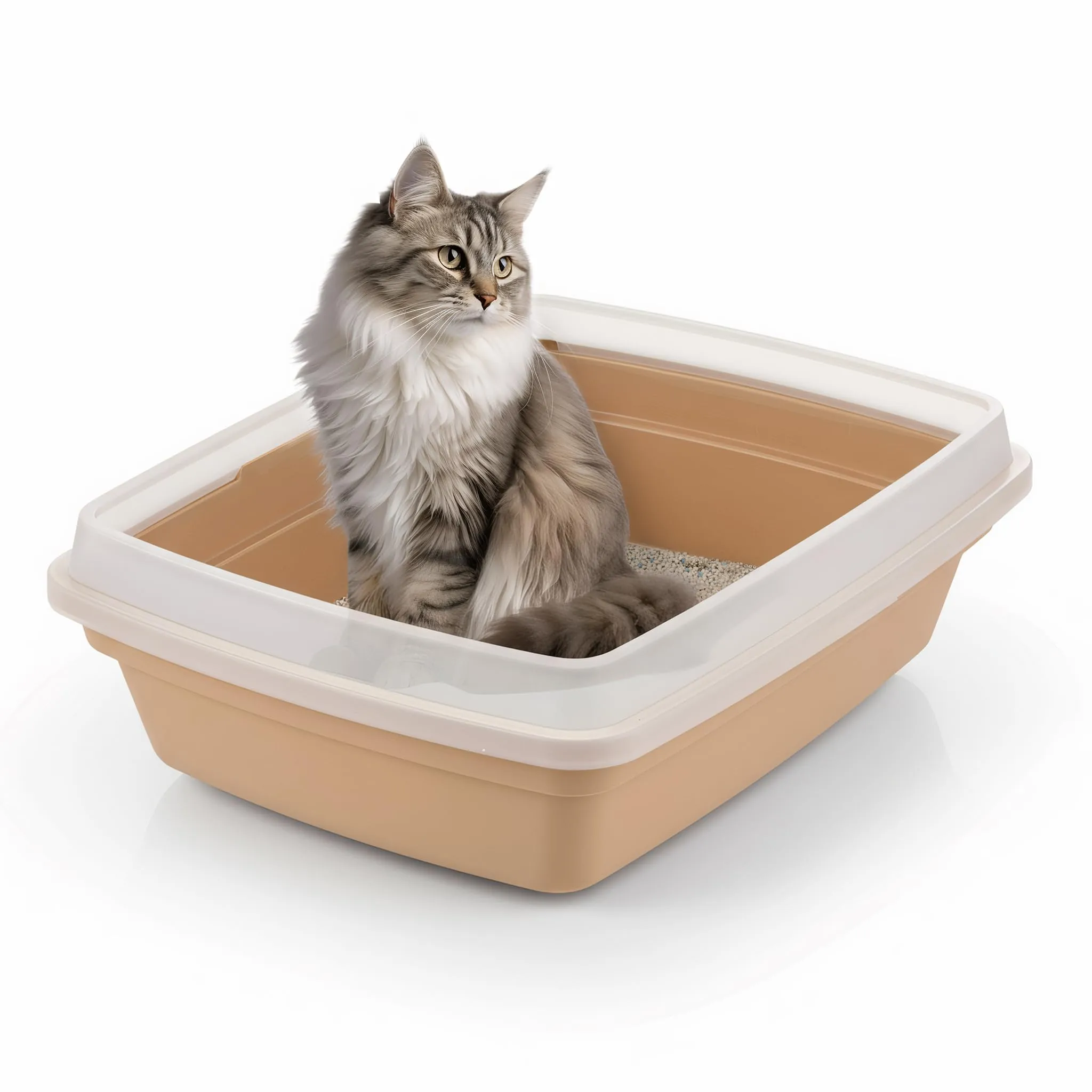 Iris Ohyama Vasca per lettiera per gatti, Beige, CLH-12S - immagine 1