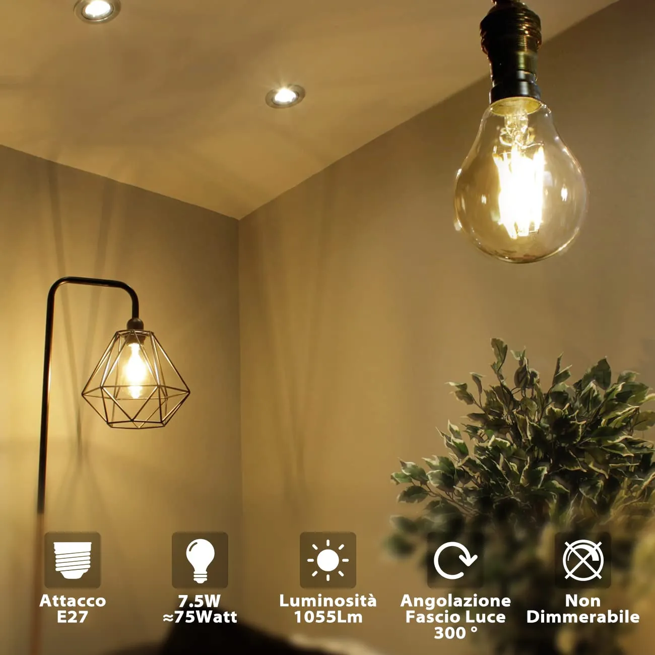 LVWIT Lampadine LED Filamento E27 7.5W 1055LM 2700K Bianco Caldo Vintage, Confezione da 6 Pezzi - immagine 3