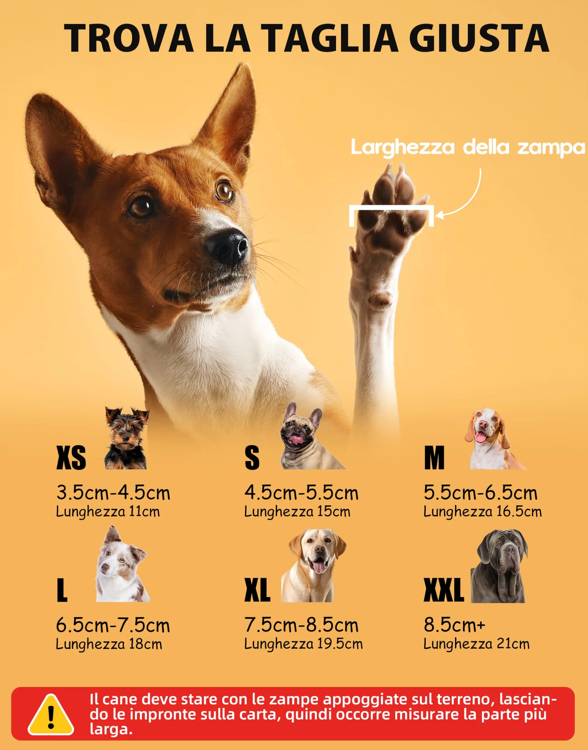 Fantasreen Calzini Antiscivolo per Cani con Osso, 6 Pezzi, Grigio Modern, XL - immagine 5