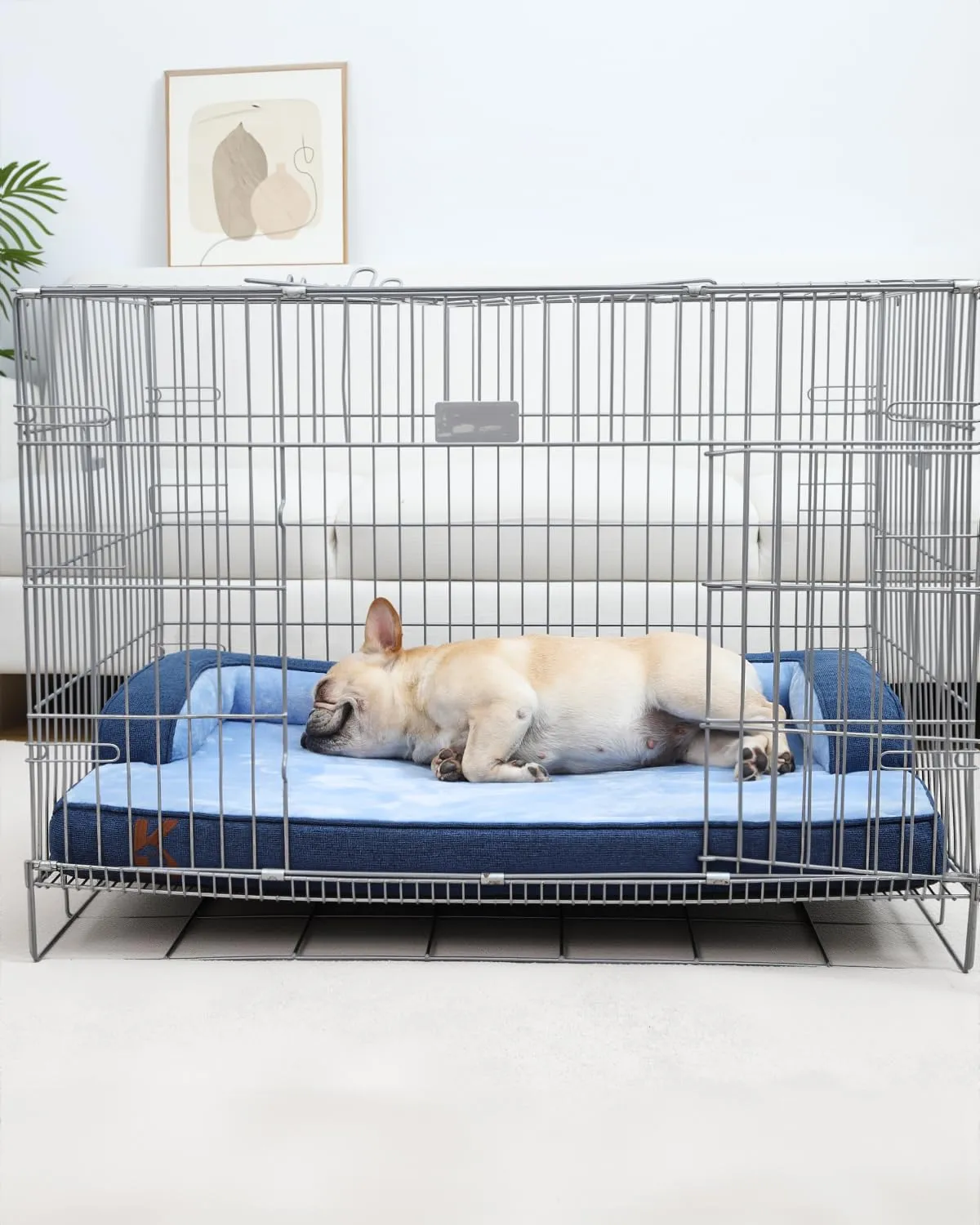 KSIIA Cuccia Cane Grande Ortopedica Sfoderabile e Lavabile 134x91x19cm - immagine 8