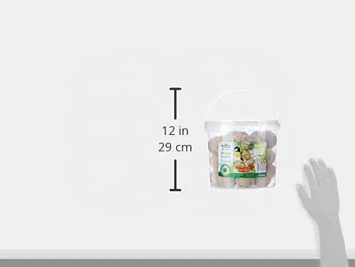 Dehner Natura Premium Mangime per uccelli selvatici, palline per cinciallegre, 30 pezzi x 90 g (2,7 kg) - immagine 5