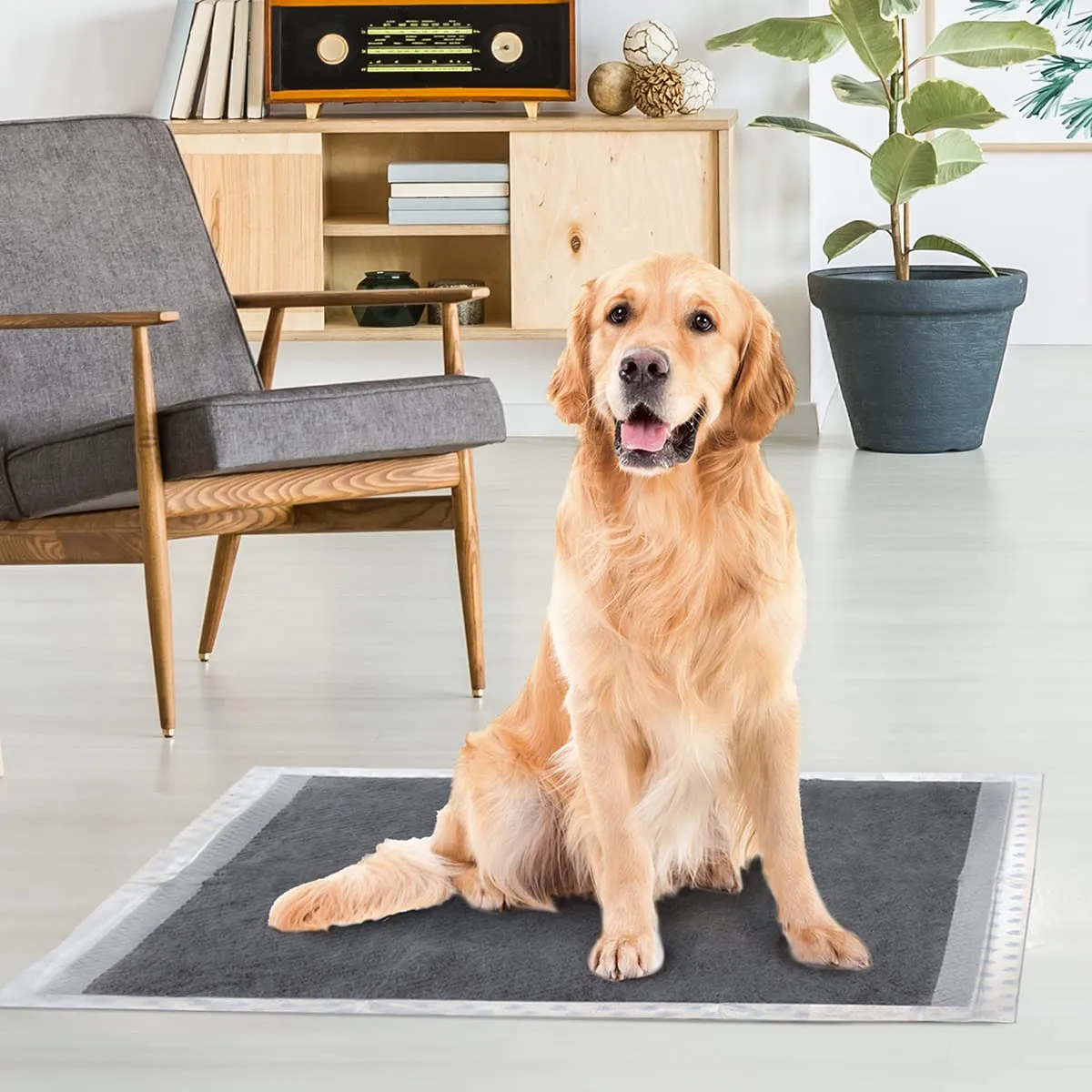 Record Assorbipiù Traverse Cani Carboni Attivi, 60x90cm 30 pz - immagine 5