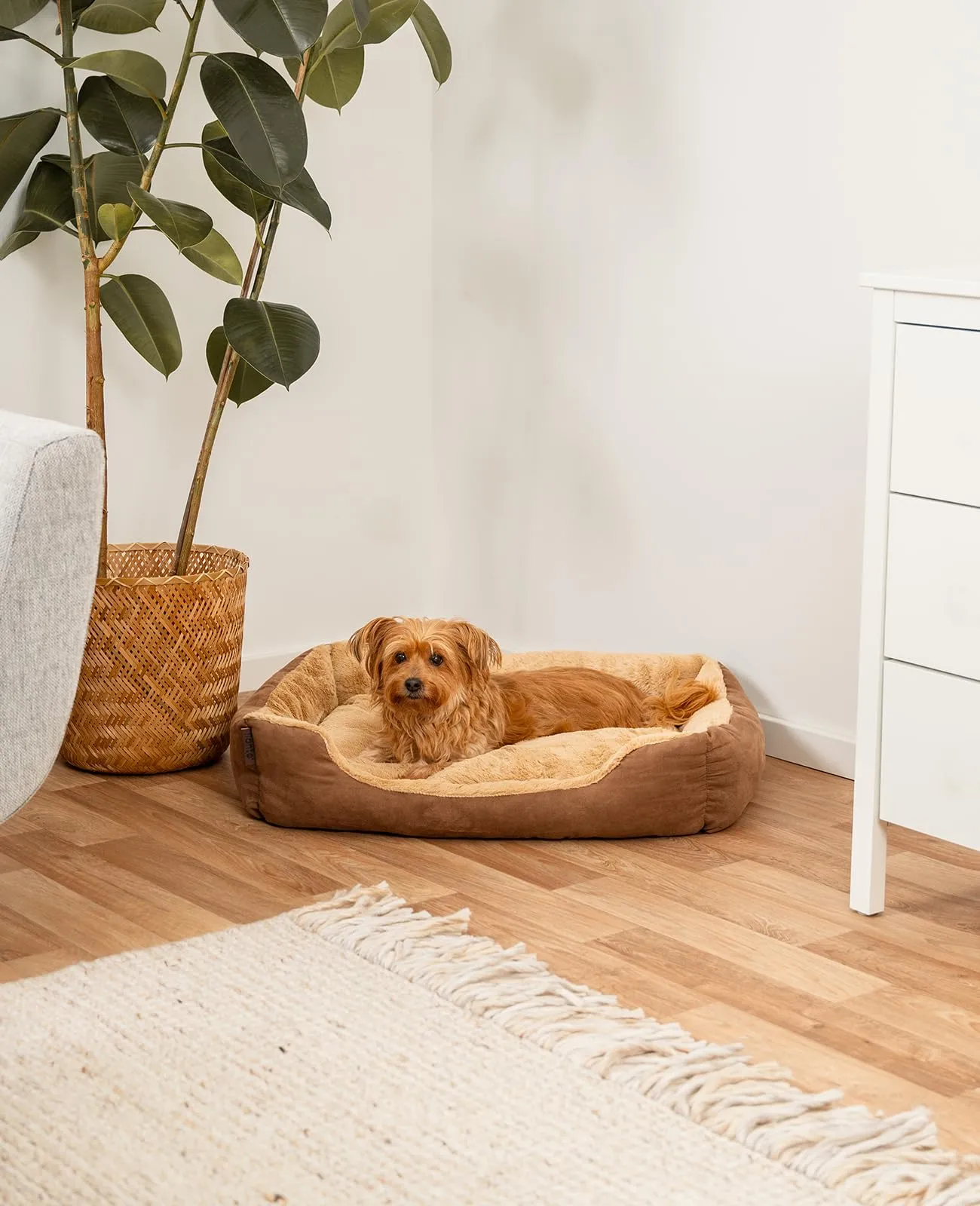 lionto Cuccia per Cani con Cuscino Reversibile, 75 x 60 cm, Marrone/Beige - immagine 2
