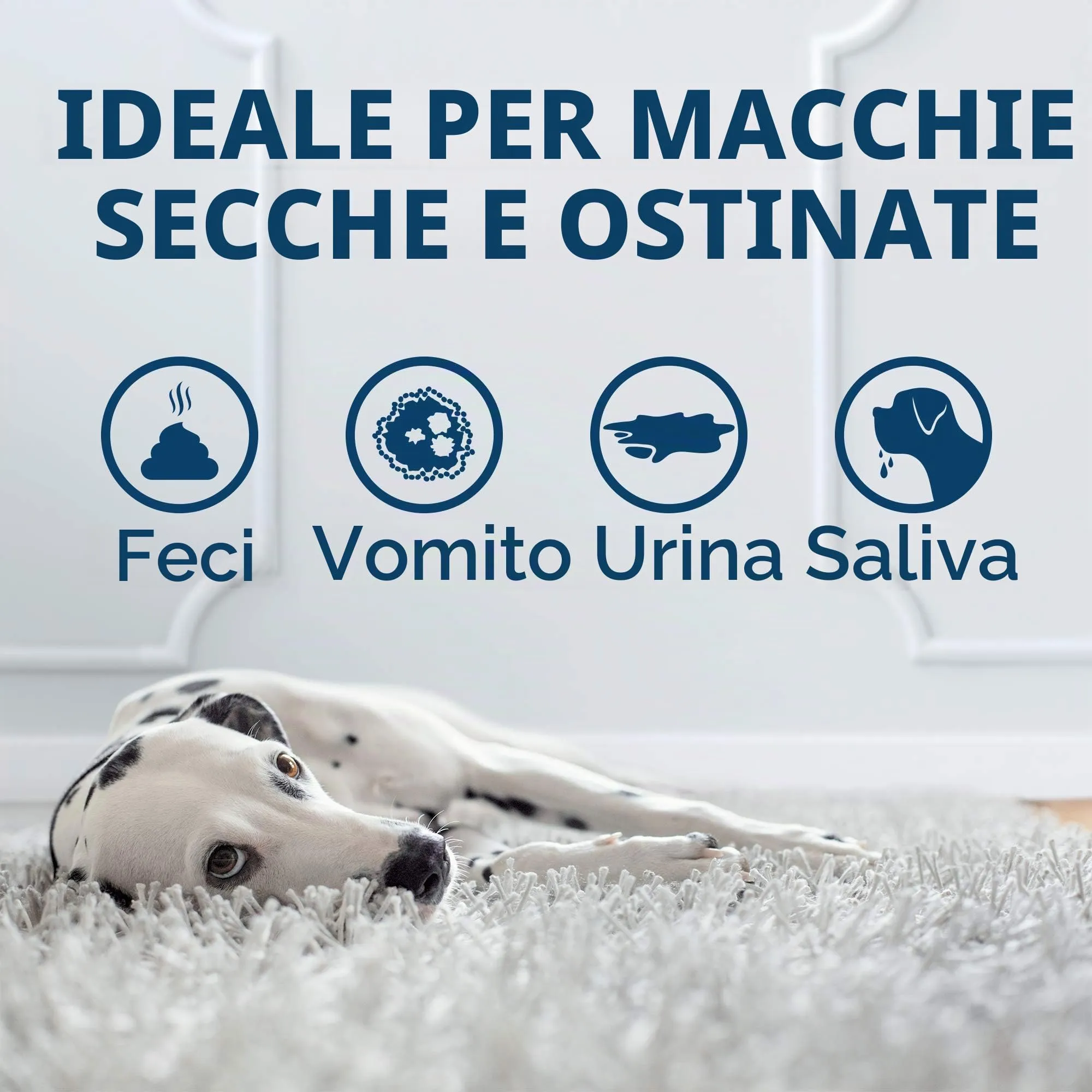 OUT! Detergente elimina odori per urina di animali, 1 litro - immagine 3