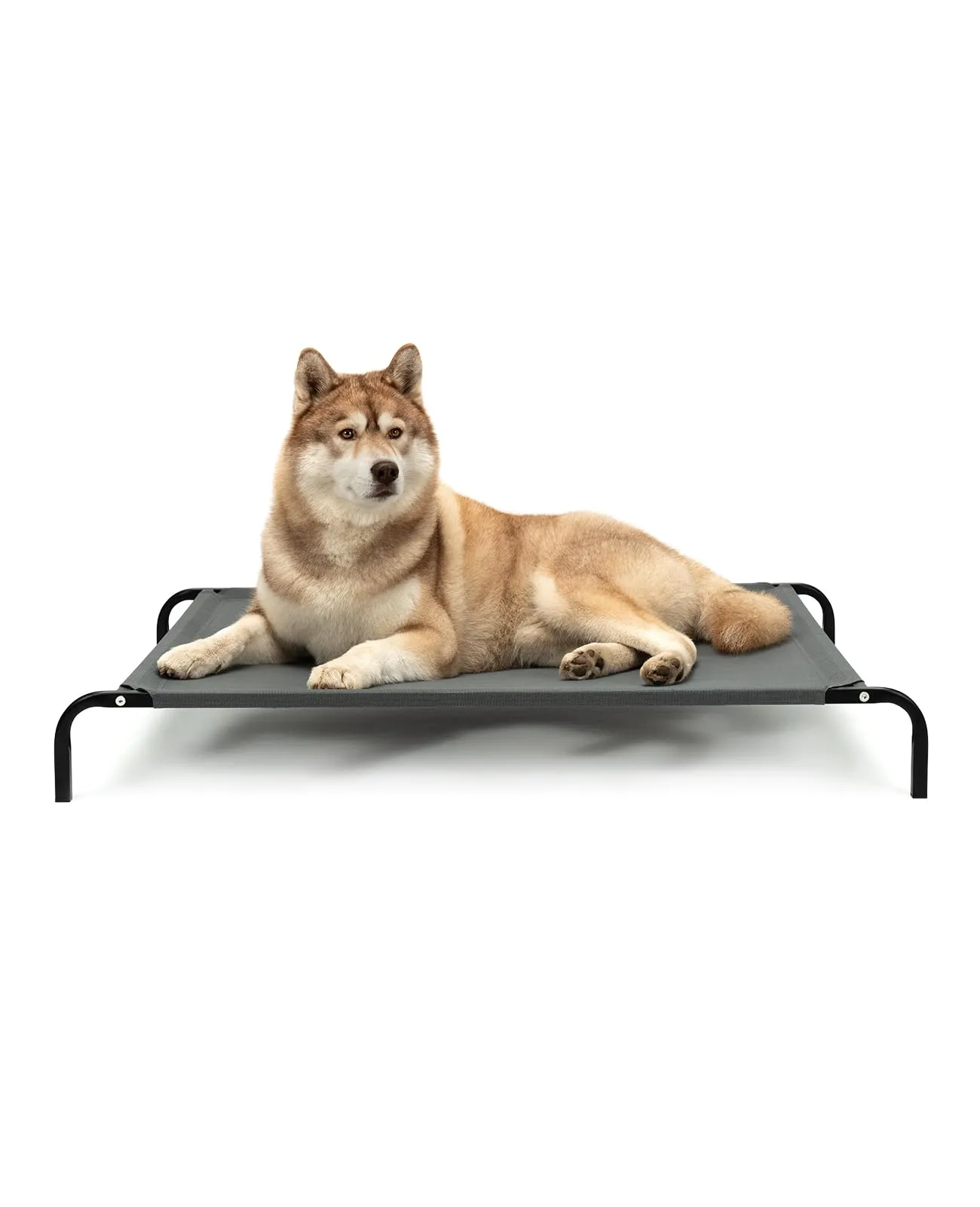 lionto Lettino Rialzato da Esterno per Cani, 117 x 85 cm, Grigio - immagine 1