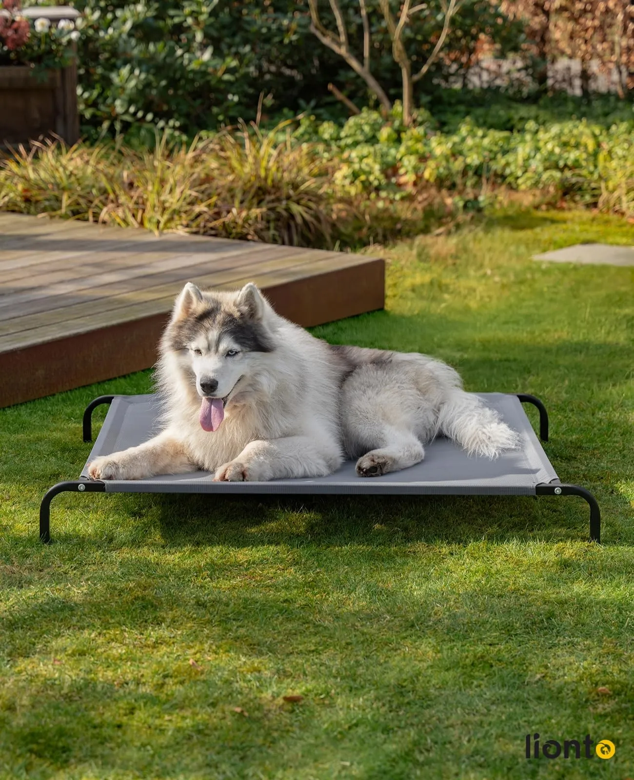 lionto Lettino Rialzato da Esterno per Cani, 117 x 85 cm, Grigio - immagine 2