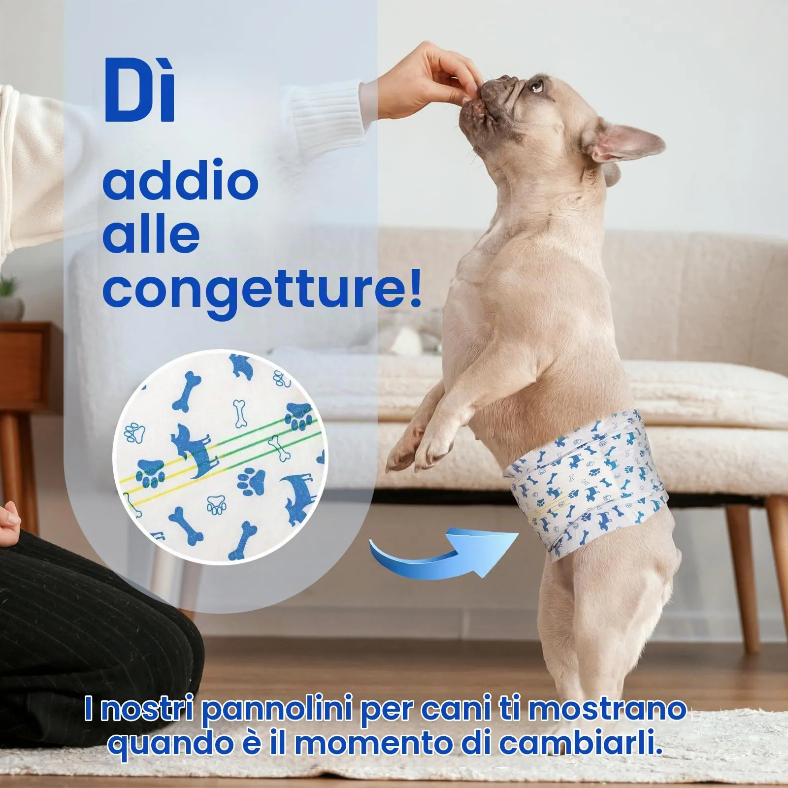 MICOOYO Pannolini usa e getta per cani maschi con indicatore di umidità, M, confezione da 20 - immagine 2