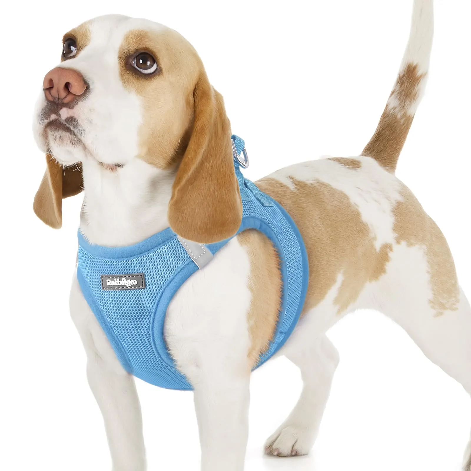 rabbitgoo Pettorina Cane, Azzurro, Taglia M - immagine 1