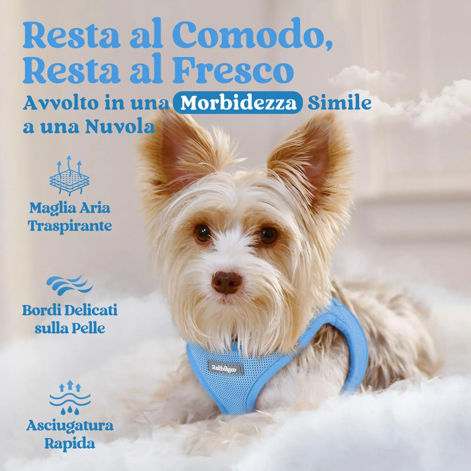 rabbitgoo Pettorina Cane, Azzurro, Taglia M - immagine 3