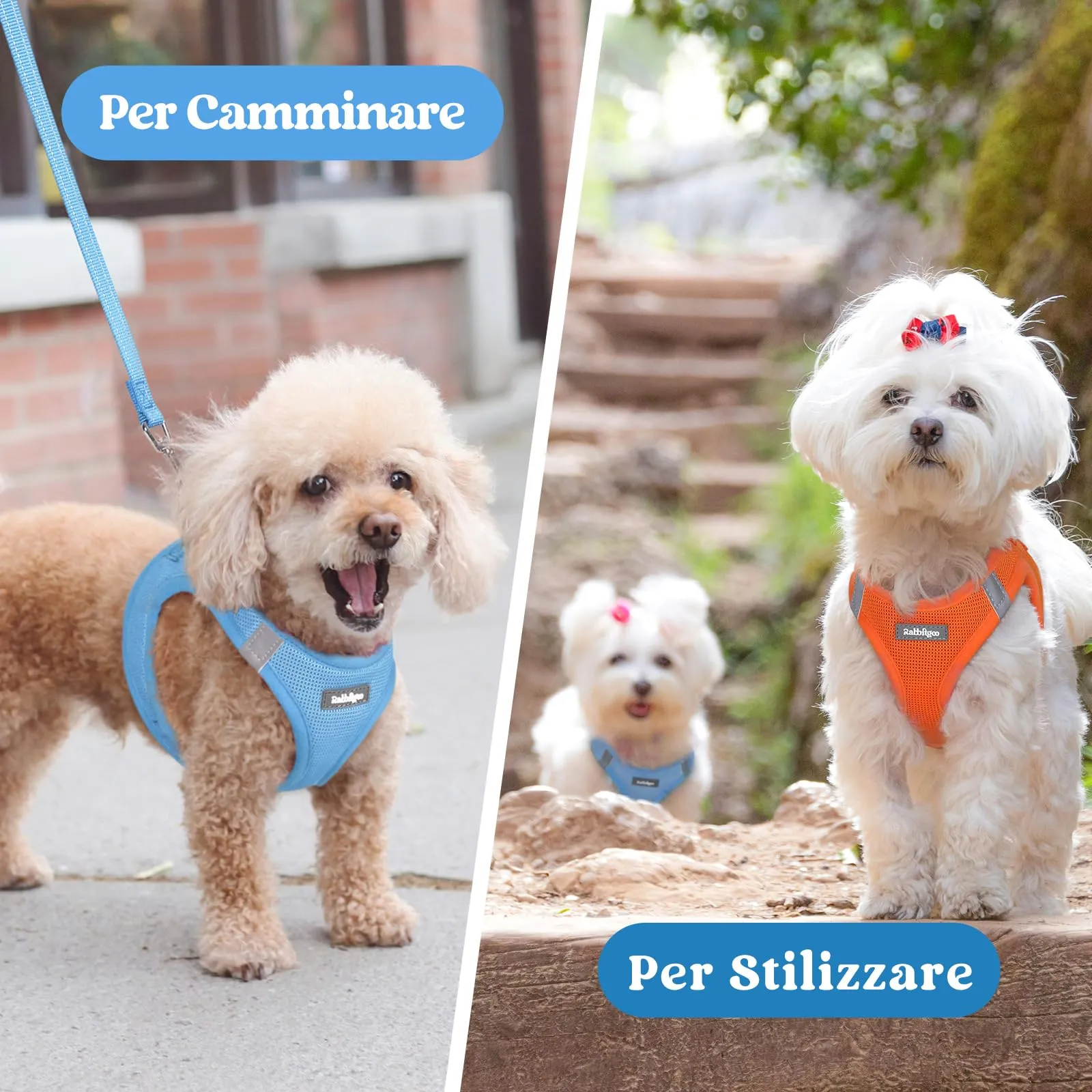 rabbitgoo Pettorina Cane, Azzurro, Taglia M - immagine 9