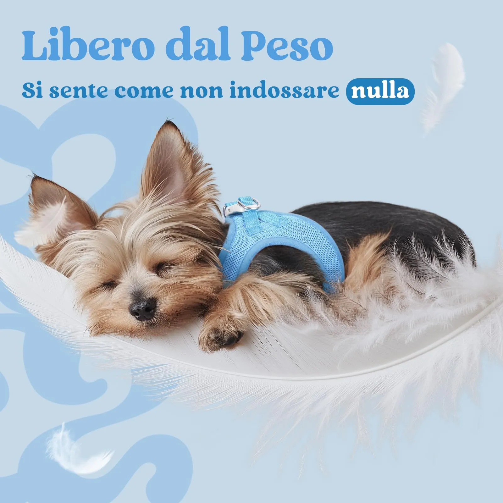 rabbitgoo Pettorina Cane, Azzuro, XS - immagine 4