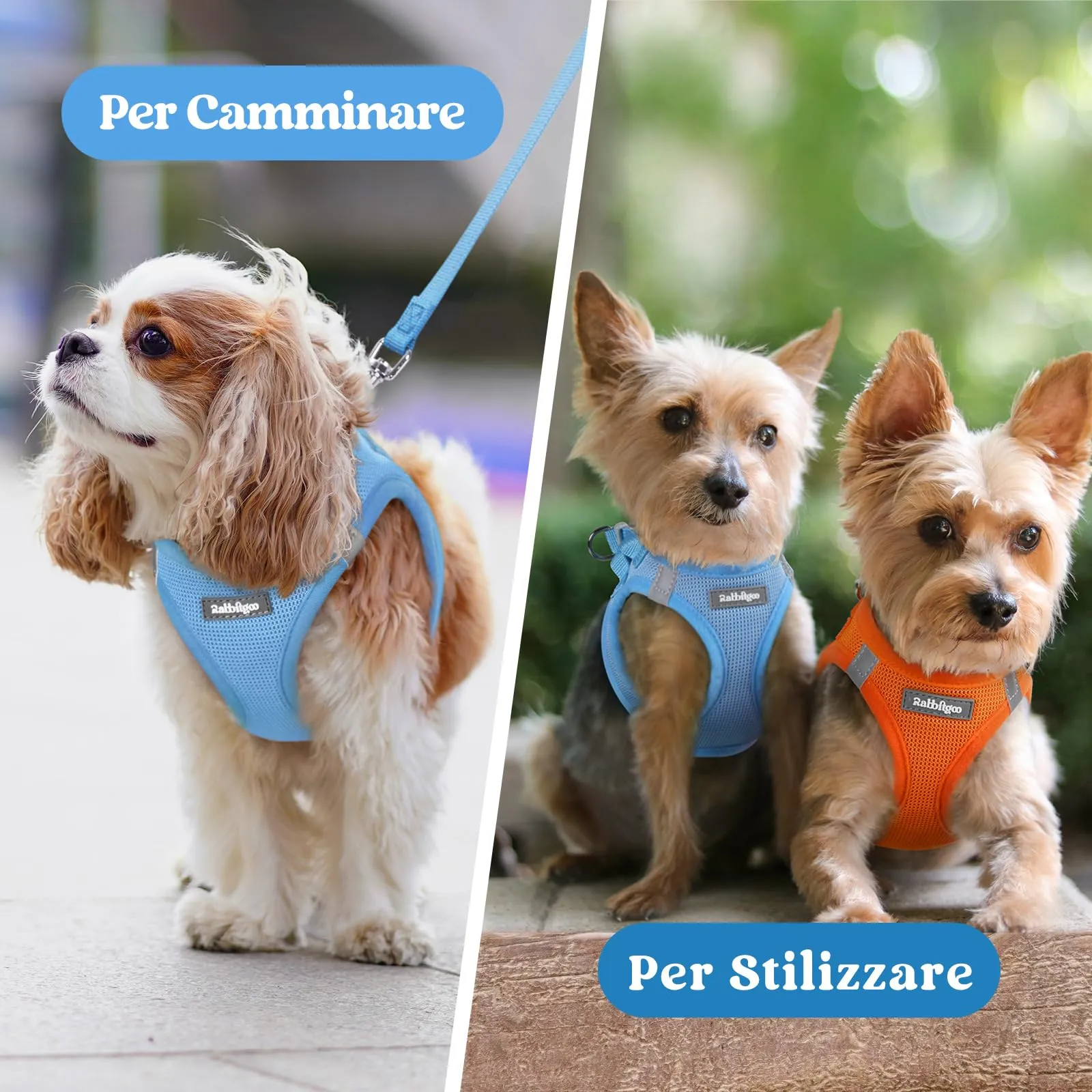 rabbitgoo Pettorina Cane, Azzuro, XS - immagine 9