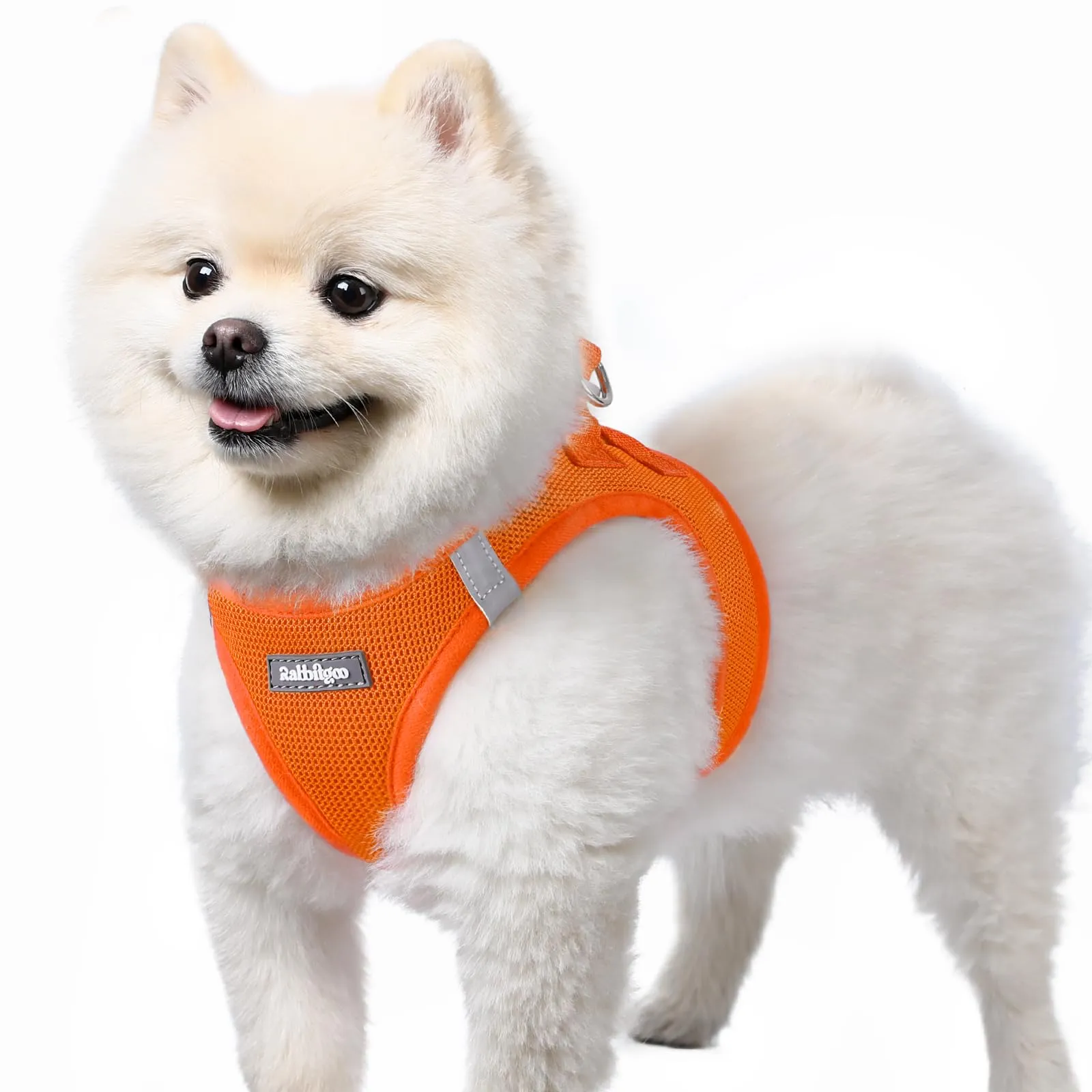 rabbitgoo Pettorina Cane, Taglia S, Arancione - immagine 1