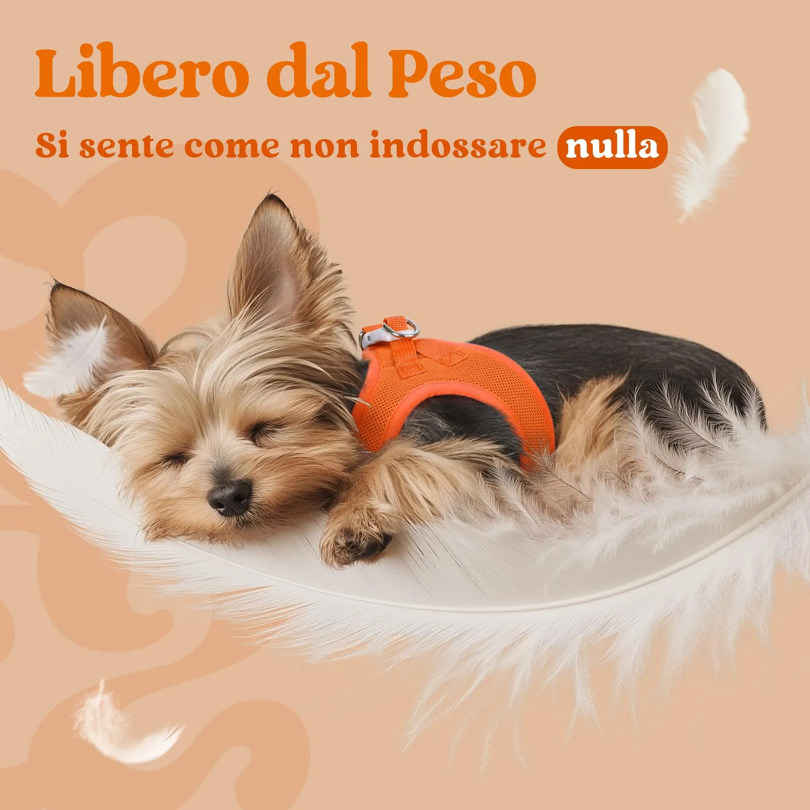 rabbitgoo Pettorina Cane, Taglia S, Arancione - immagine 4