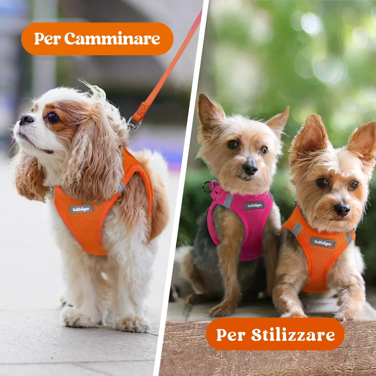rabbitgoo Pettorina Cane, Taglia S, Arancione - immagine 9