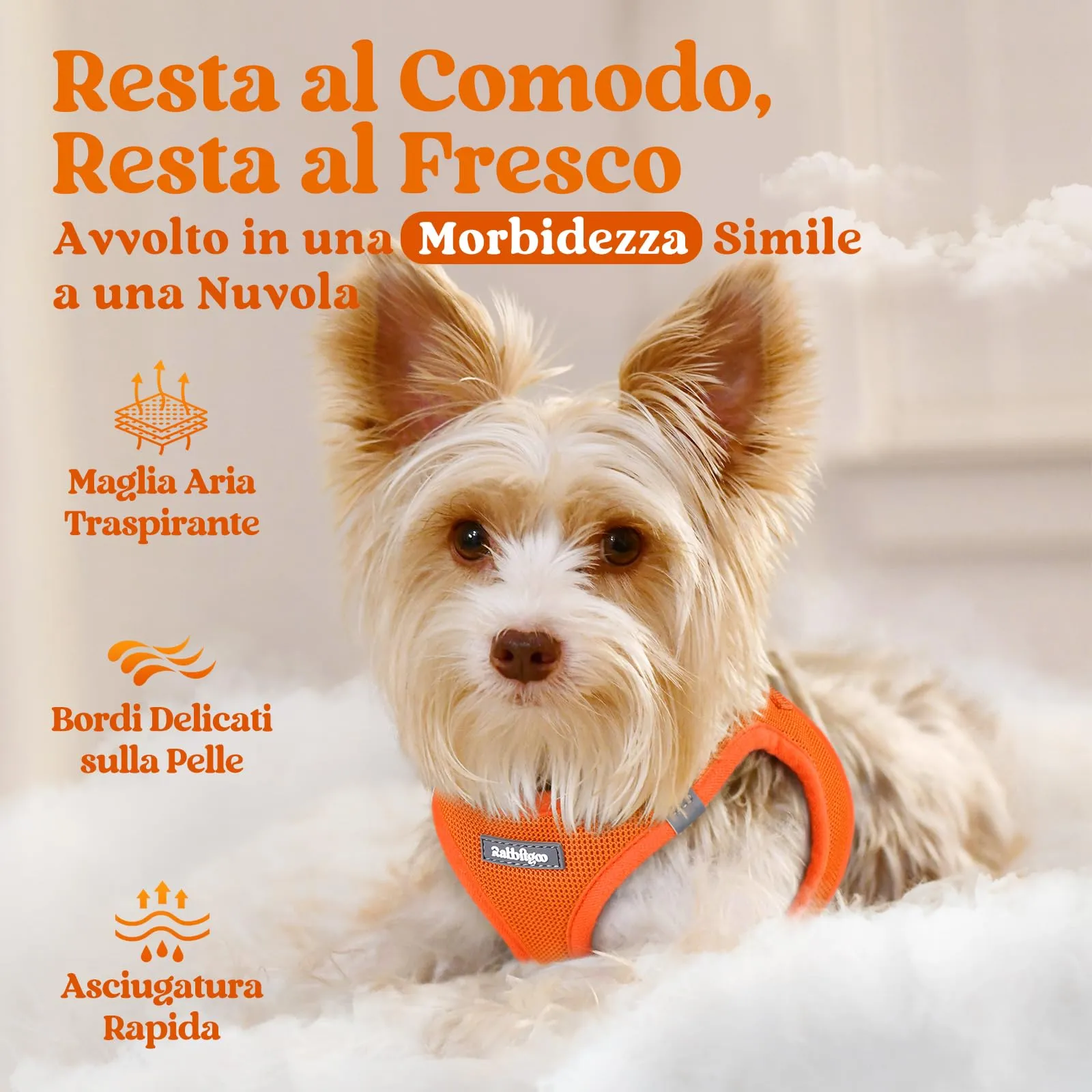 rabbitgoo Pettorina Cane, Taglia L, Arancione - immagine 3