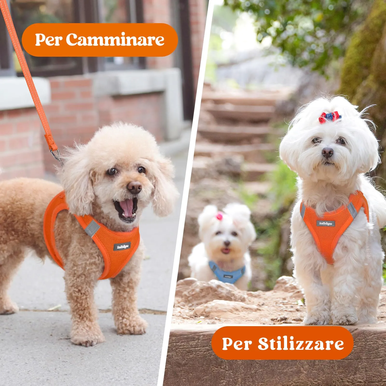 rabbitgoo Pettorina Cane, Taglia L, Arancione - immagine 9