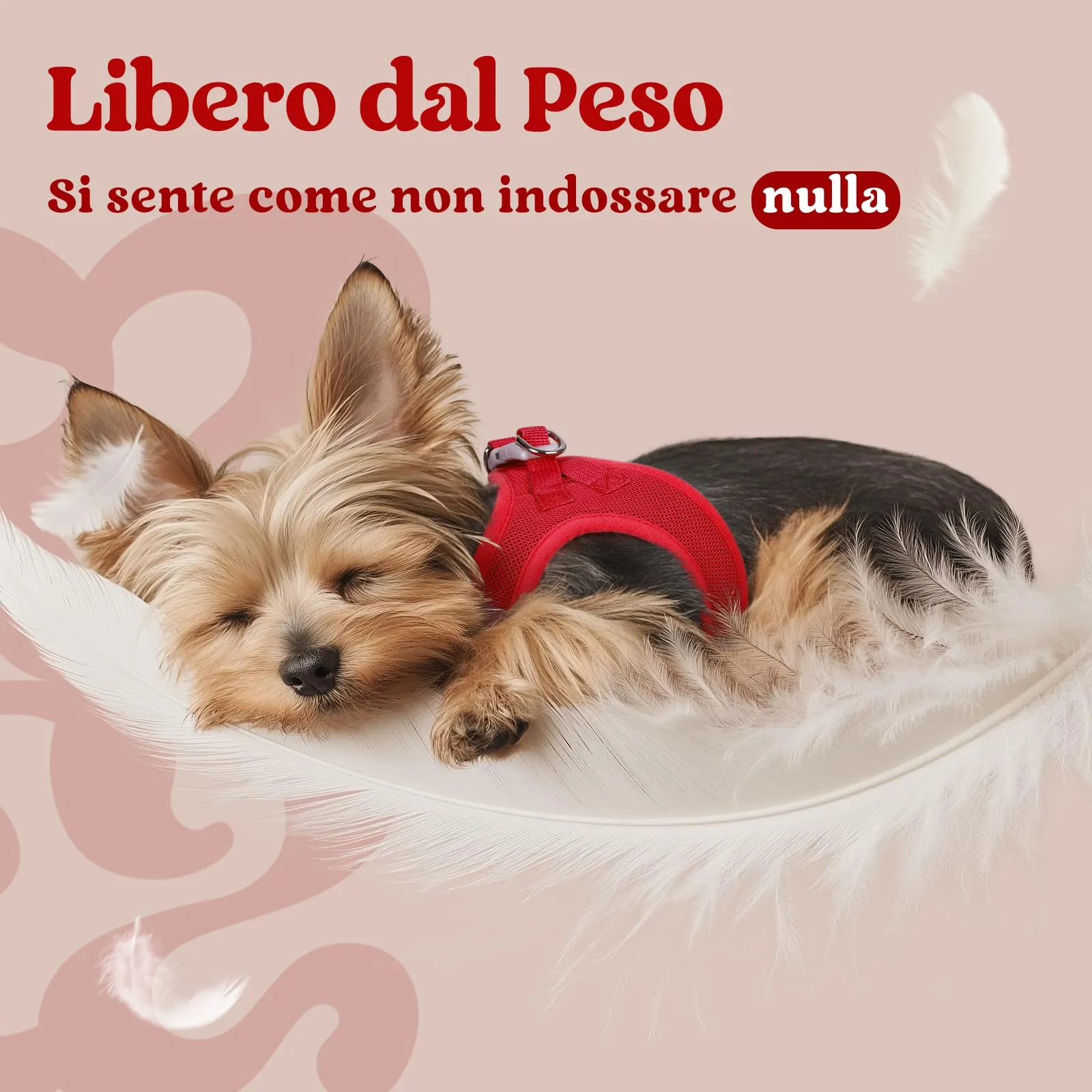 rabbitgoo Pettorina Cane Taglia Piccola, Rosso L - immagine 4