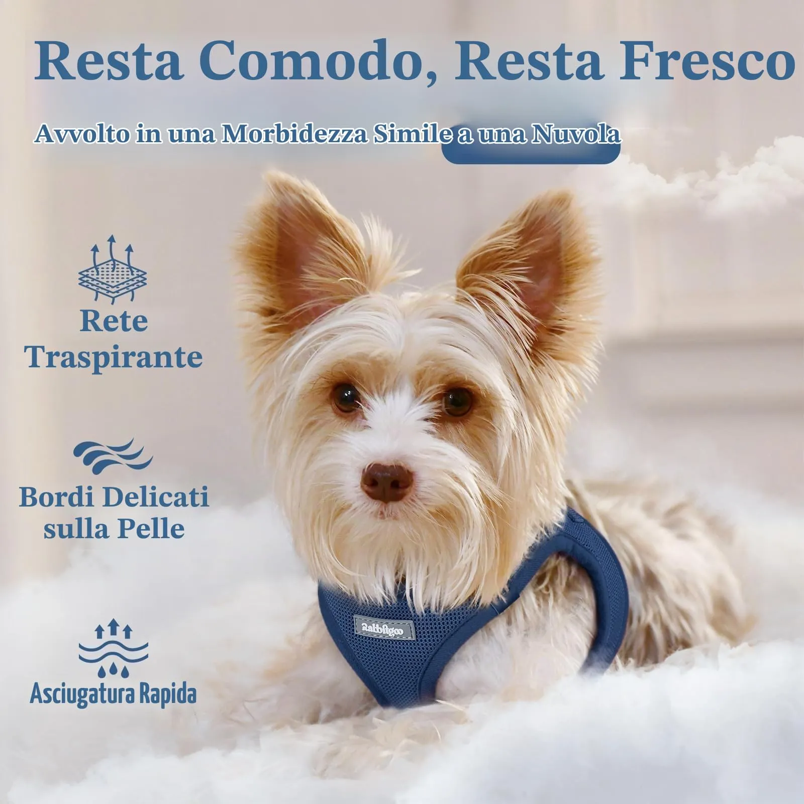 rabbitgoo Pettorina Cane Taglia Piccola, Blu Scuro S - immagine 3